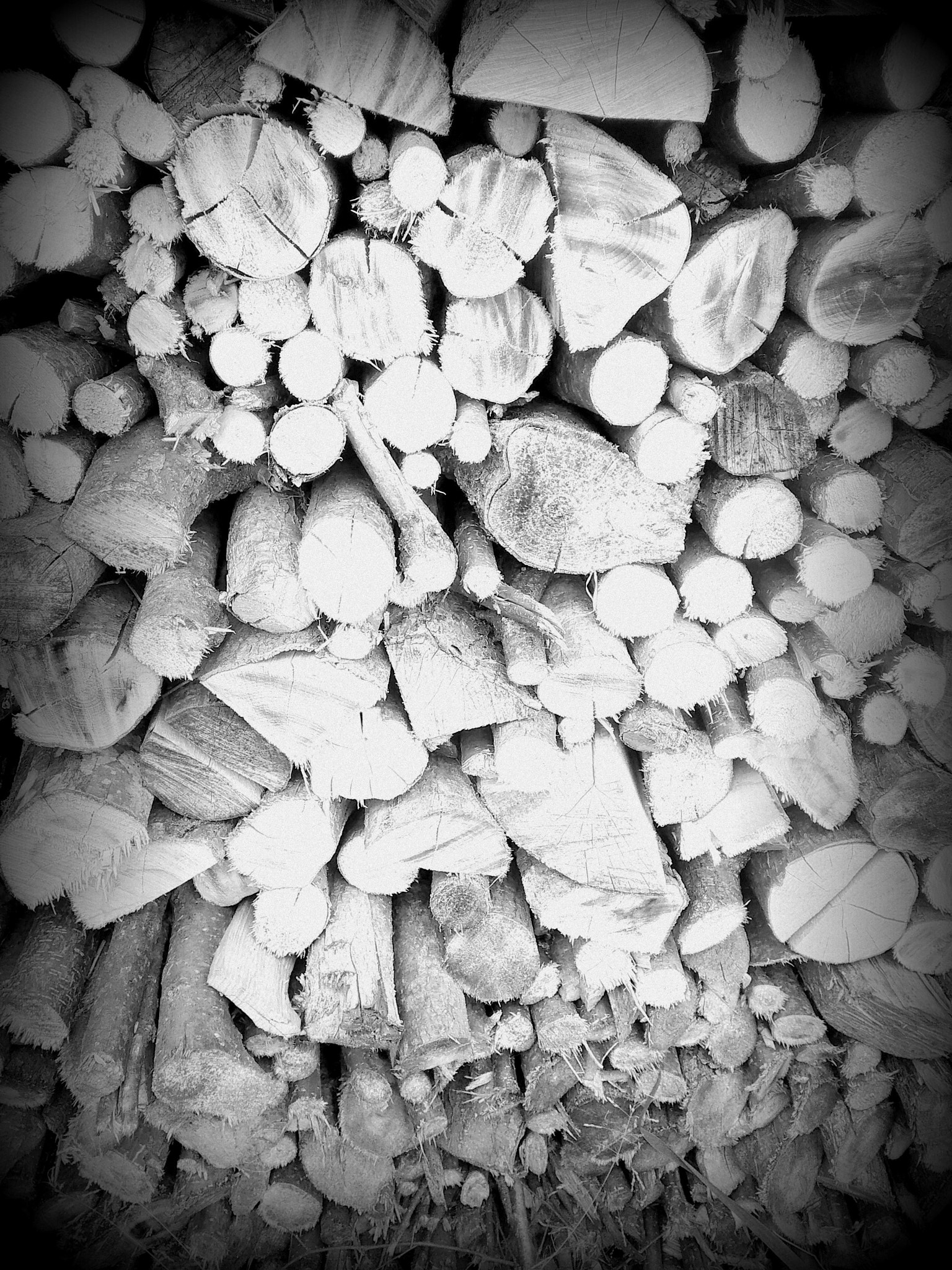 HUAWEI G620S-L01 sample photo. W o o d photography