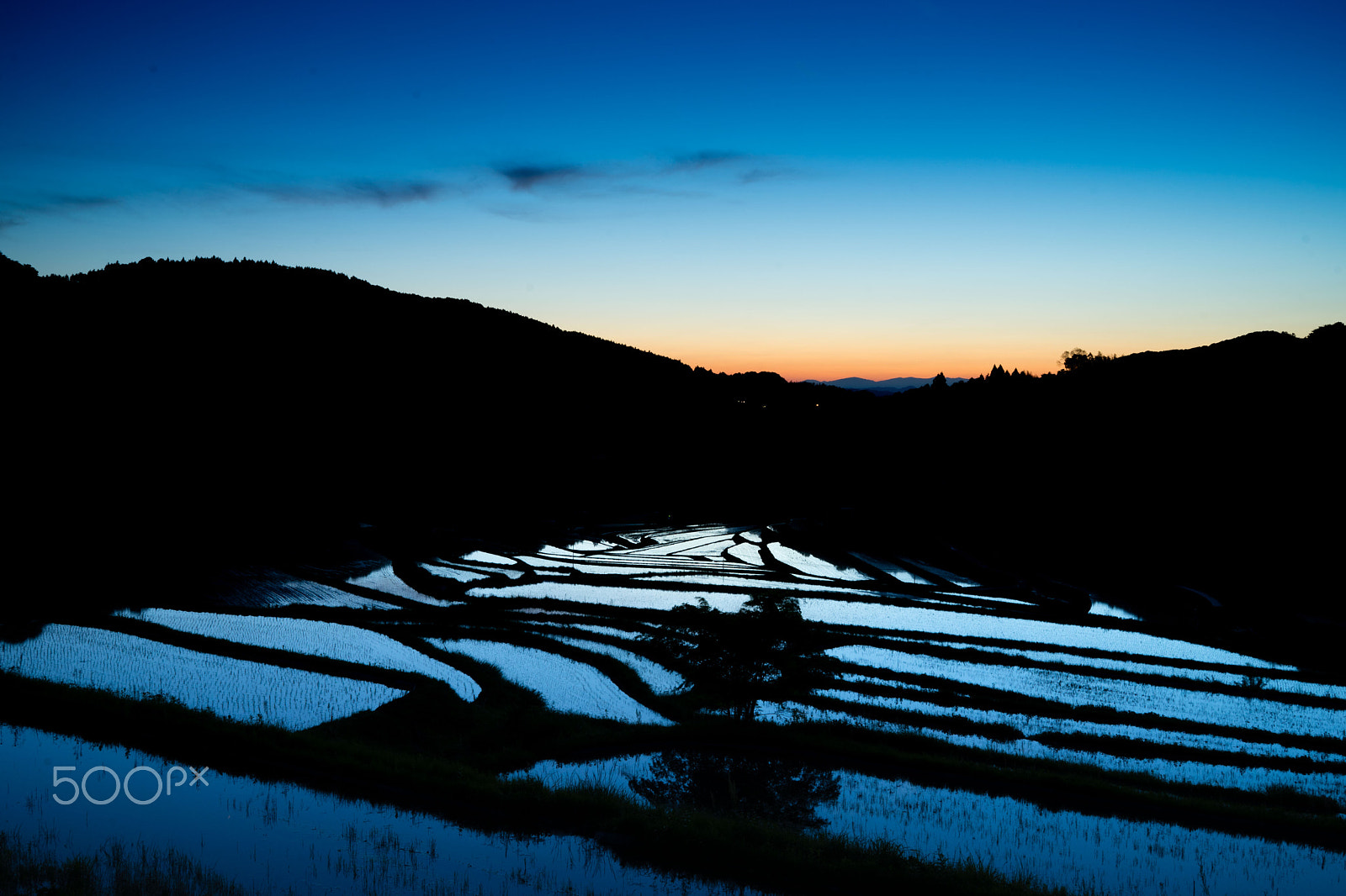 Sony a7 + Sony Distagon T* FE 35mm F1.4 ZA sample photo. Terraced rice fields.jpg photography