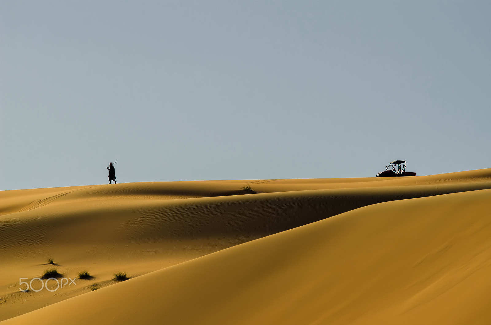 Sigma 120-400mm F4.5-5.6 DG OS HSM sample photo. The herdsman photography