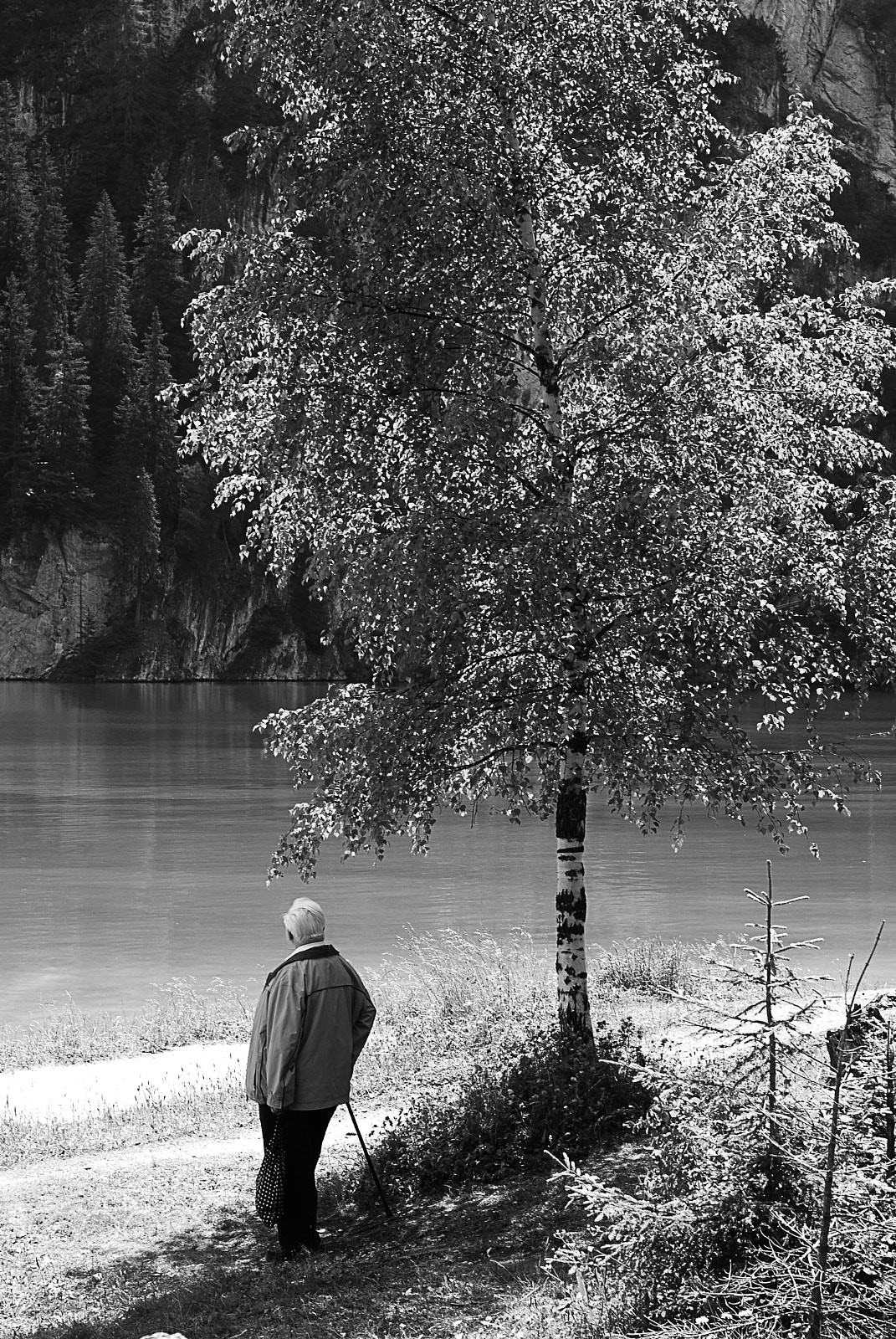 AF Nikkor 50mm f/1.8 N sample photo. Lake photography