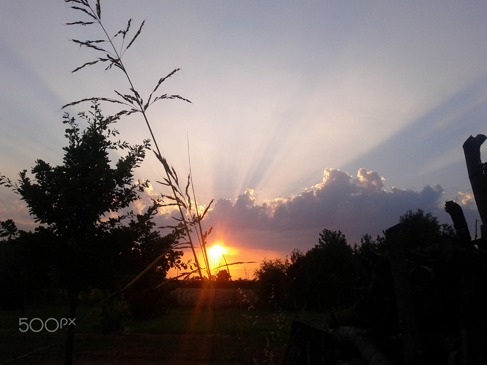 Google Nexus S sample photo. Sunset in rovigo #1 photography