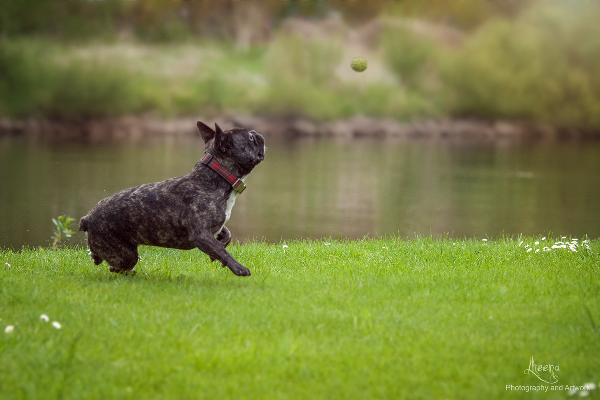 Olympus E-620 (EVOLT E-620) sample photo. Catch? no way... ;) photography