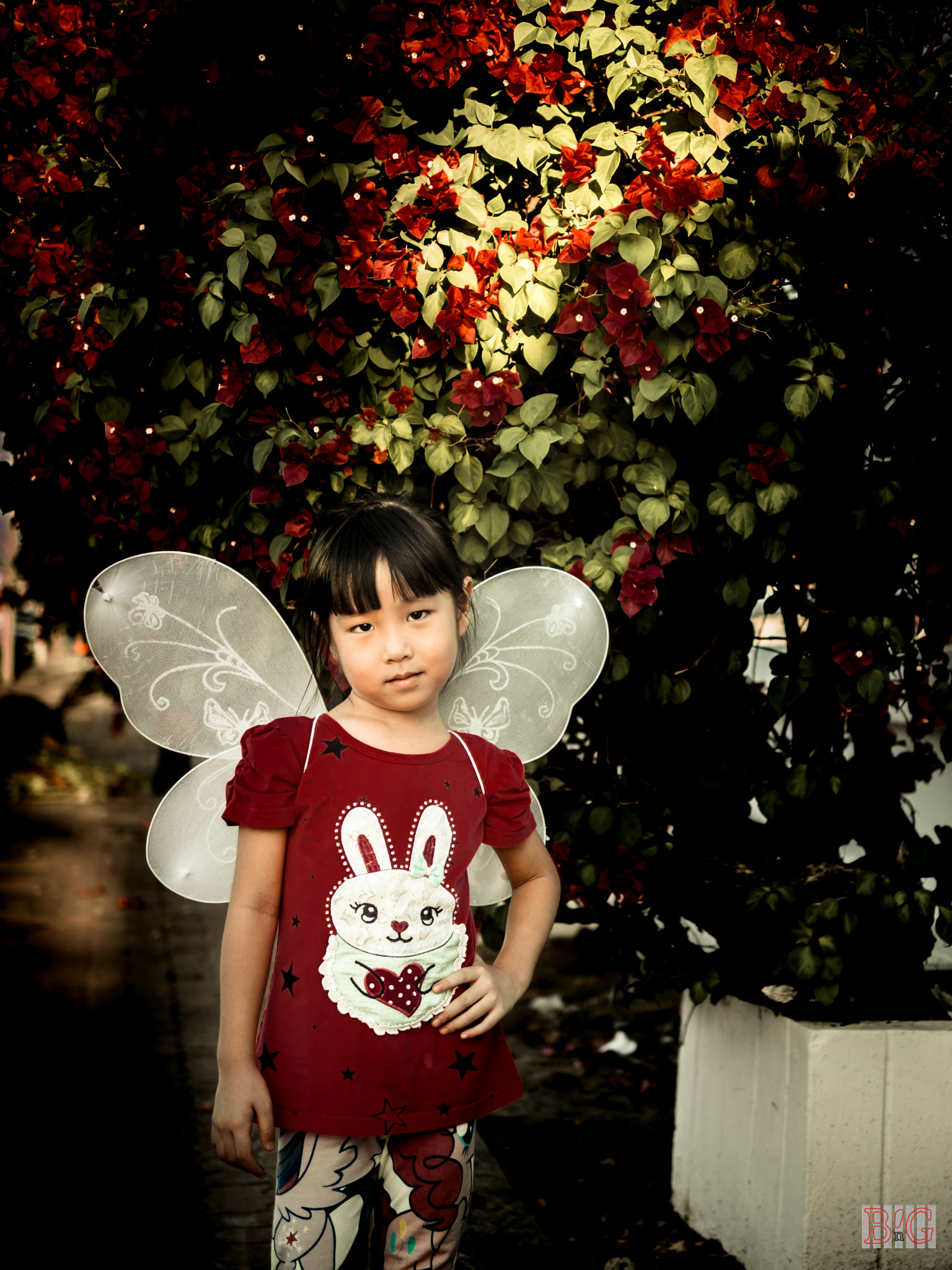 Panasonic Lumix DMC-GX8 + Panasonic Leica DG Summilux 25mm F1.4 II ASPH sample photo. Wing photography