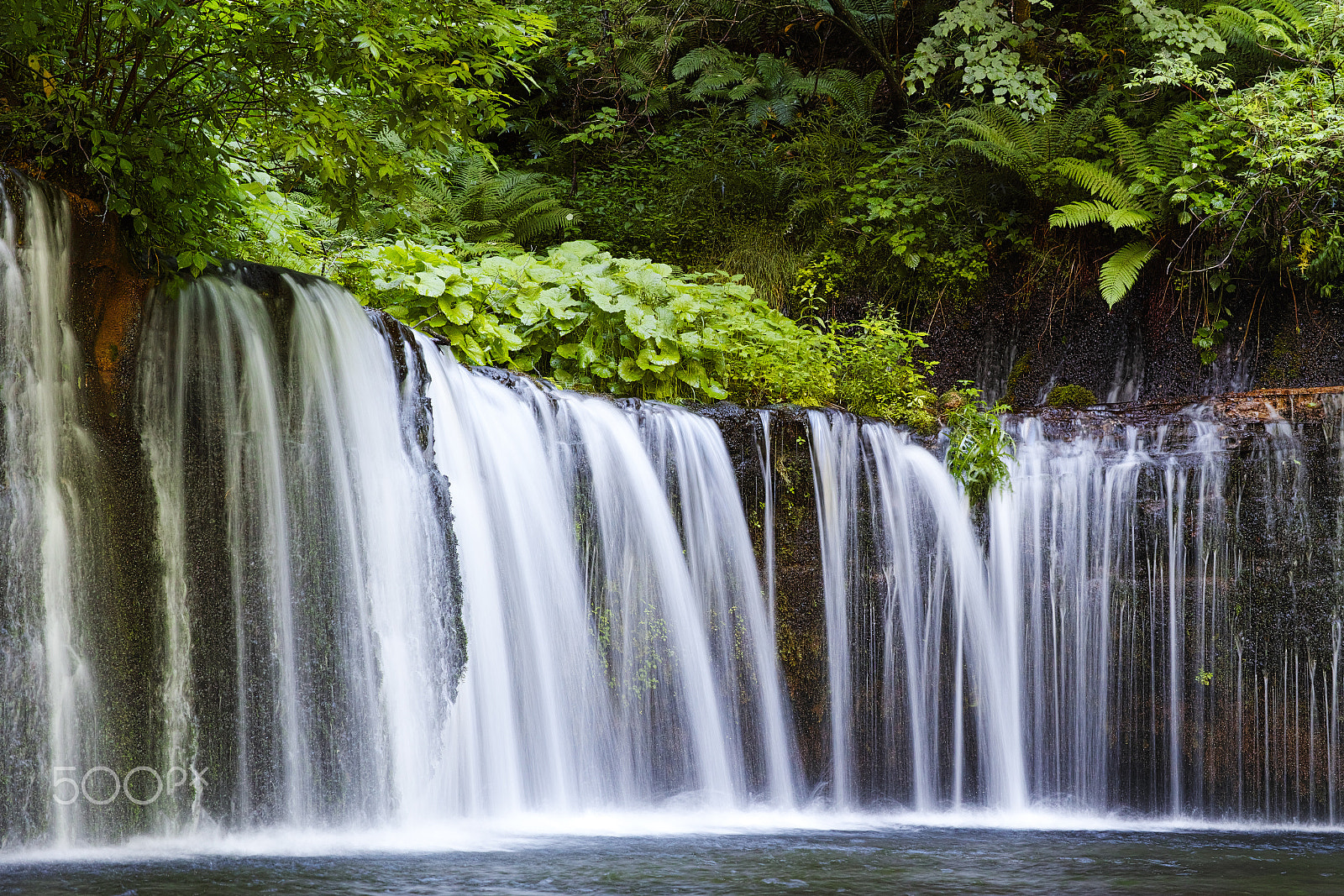 Sigma dp3 Quattro sample photo. Shiraitonotaki falls photography