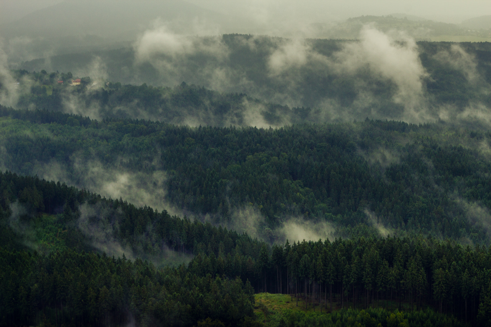 Canon EOS 600D (Rebel EOS T3i / EOS Kiss X5) + Canon EF 24-70mm F2.8L USM sample photo. Misty forest photography