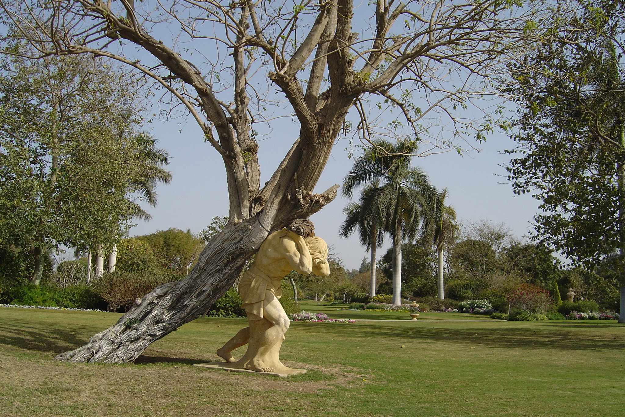 Sony DSC-P92 sample photo. Tree hugger photography