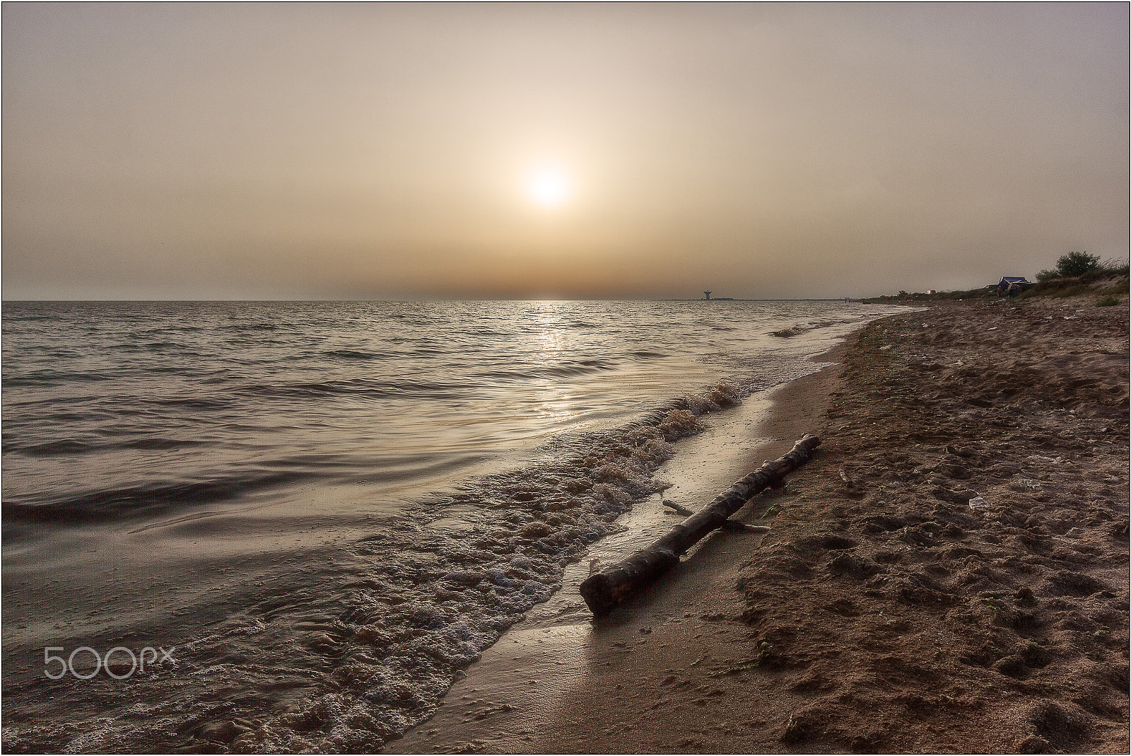 Sigma 10-20mm F3.5 EX DC HSM sample photo. The log on the sea shore photography