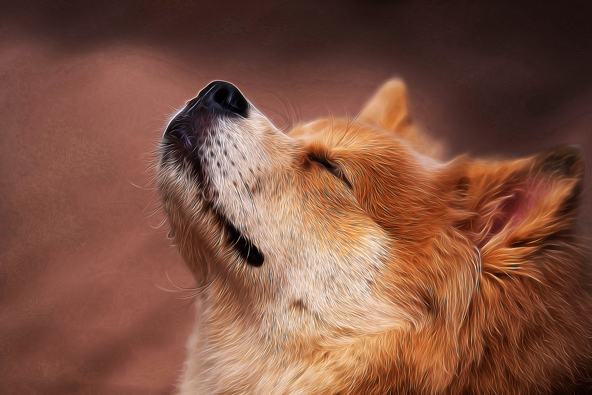 Sony ILCA-77M2 + Tamron SP 70-200mm F2.8 Di VC USD sample photo. Ahhh photography