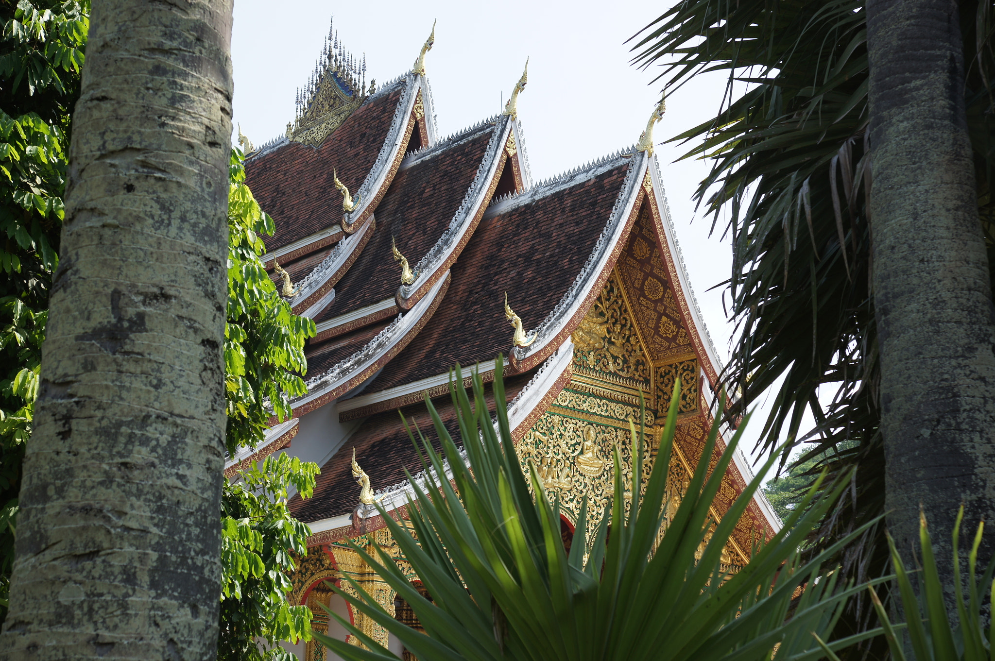 Sony Alpha DSLR-A580 sample photo. Luang prabang photography
