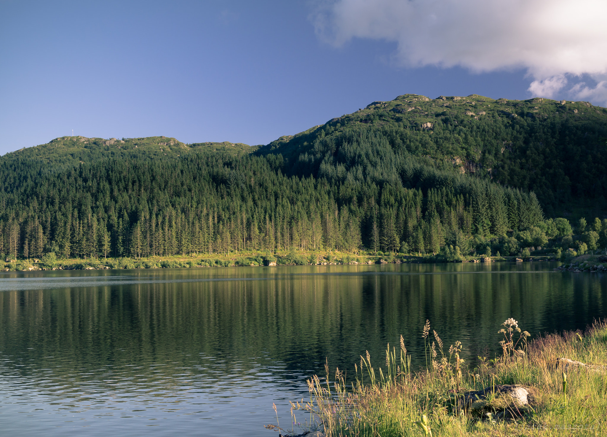 Samsung NX300M sample photo. Lake photography