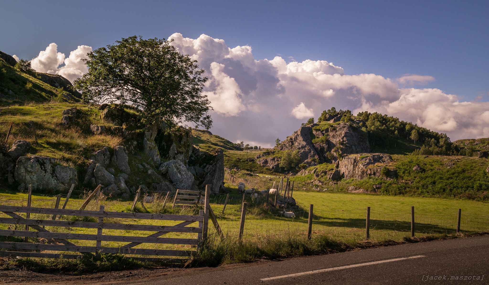 Samsung NX300M + Samsung NX 18-55mm F3.5-5.6 OIS sample photo. Sheep field photography