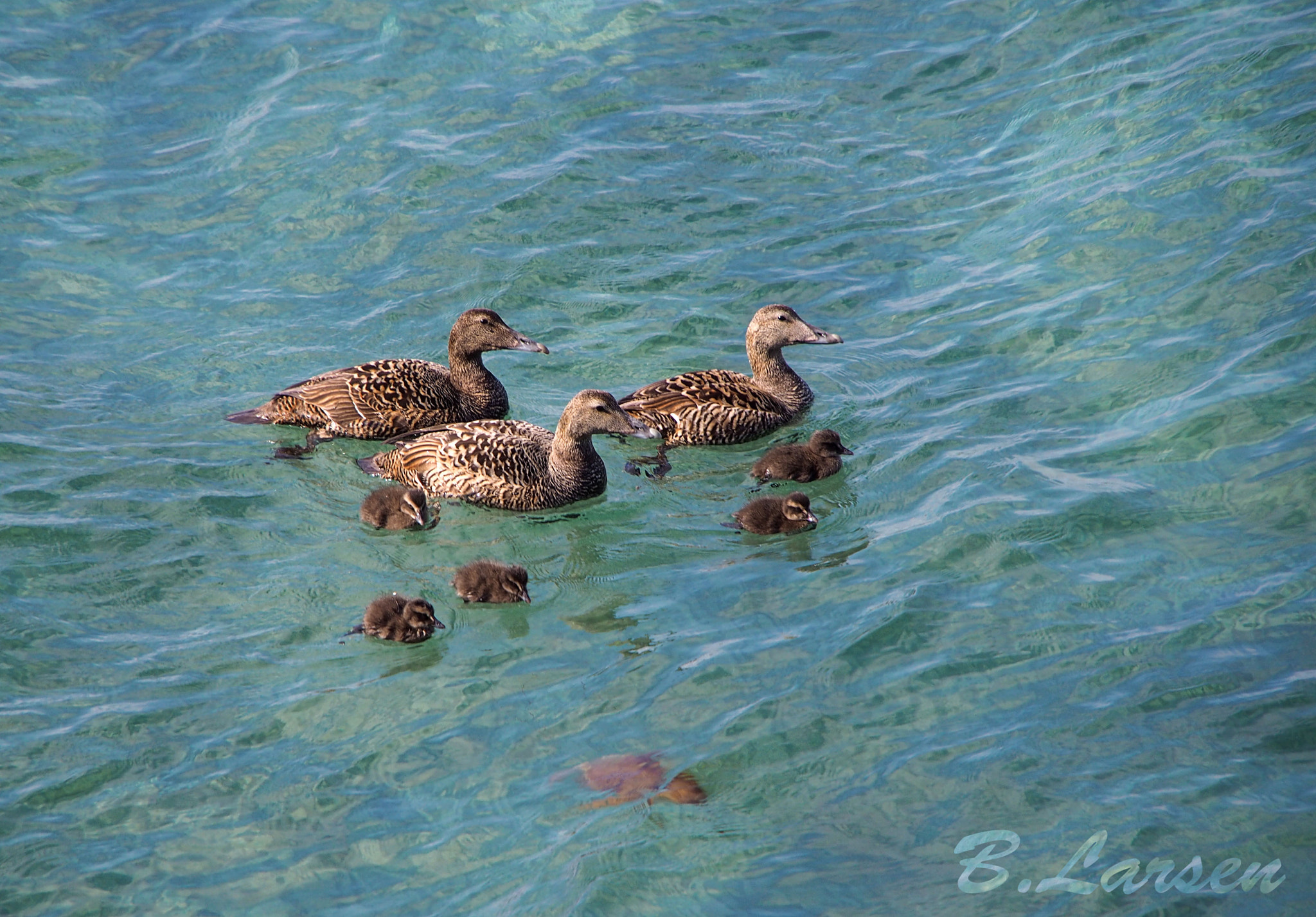 Olympus PEN E-P5 sample photo. Next generation photography