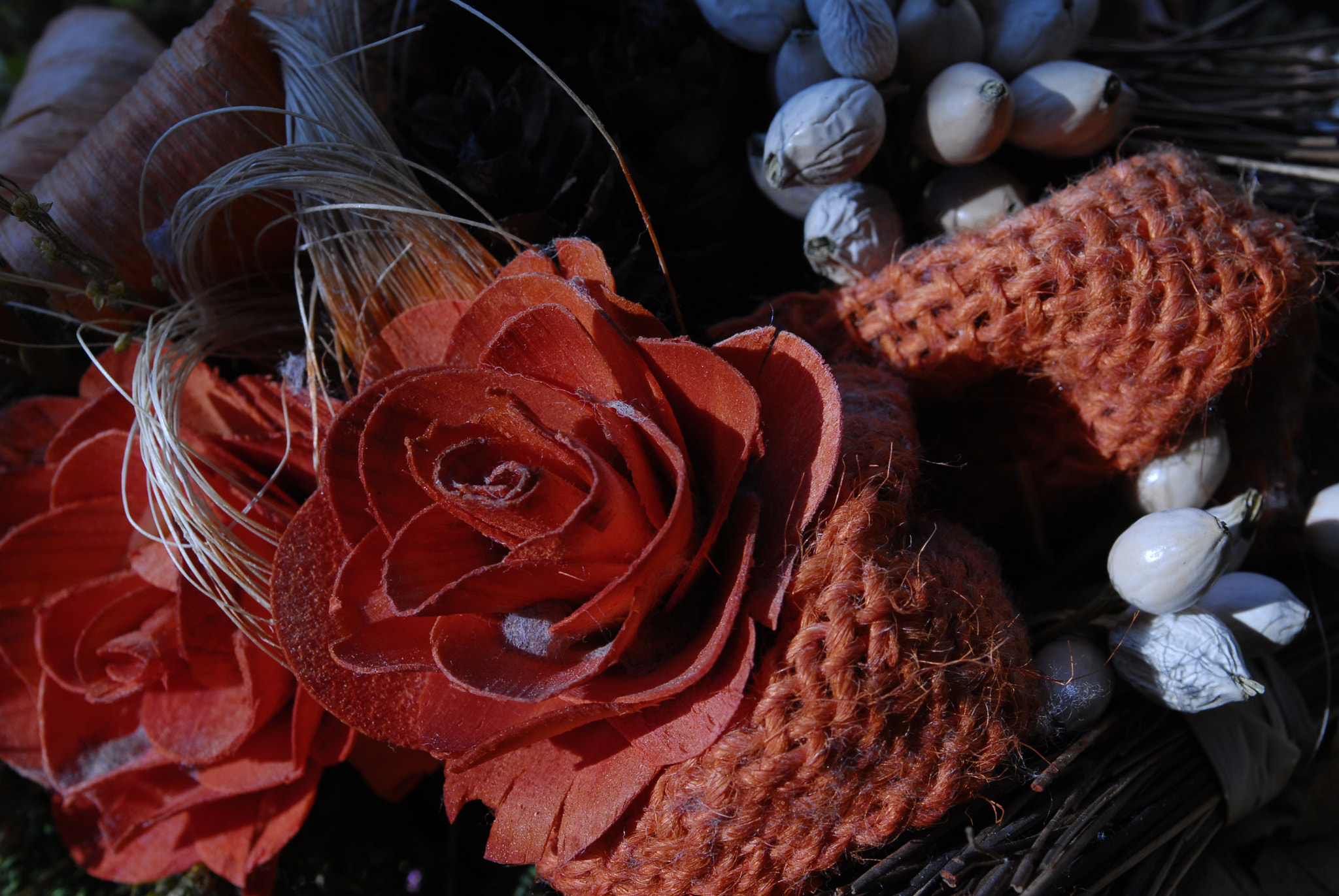 Nikon D200 sample photo. Fiori secchi photography