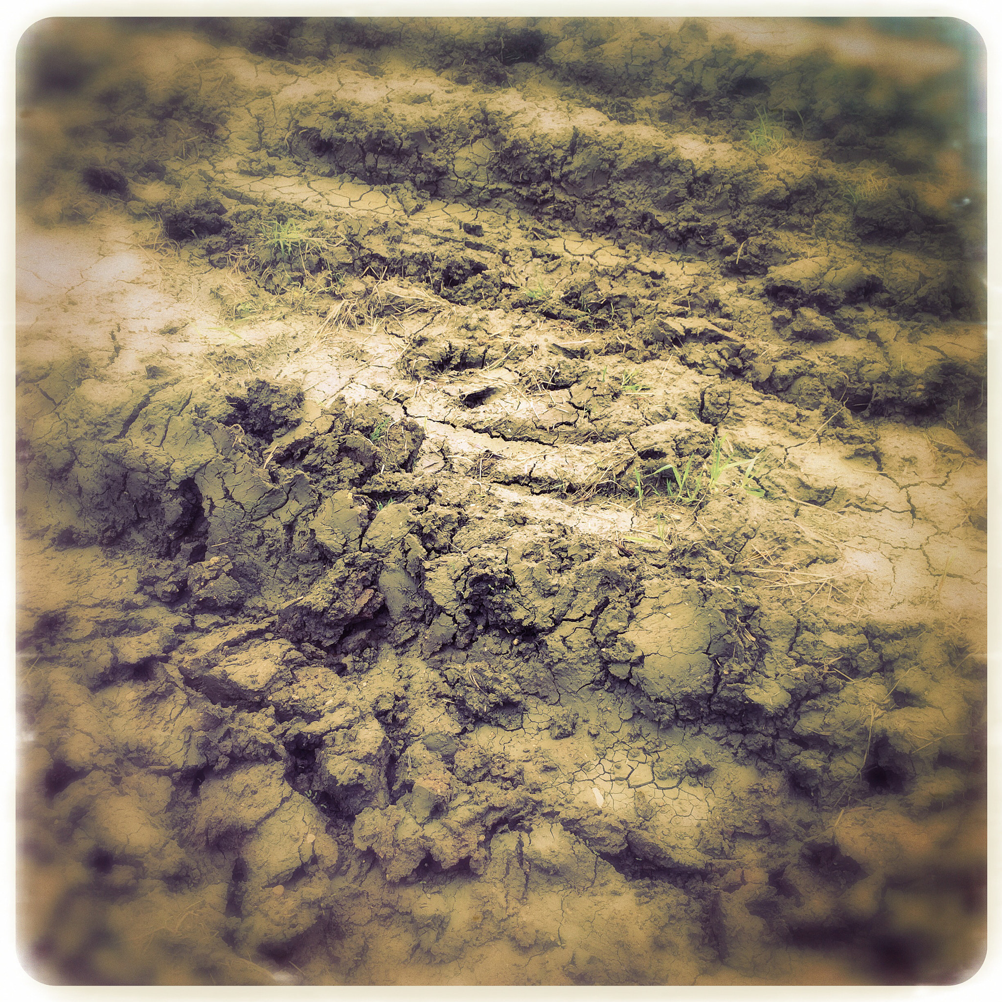 Hipstamatic 275 + iPhone 5s back camera 4.12mm f/2.2 sample photo. Mud photography