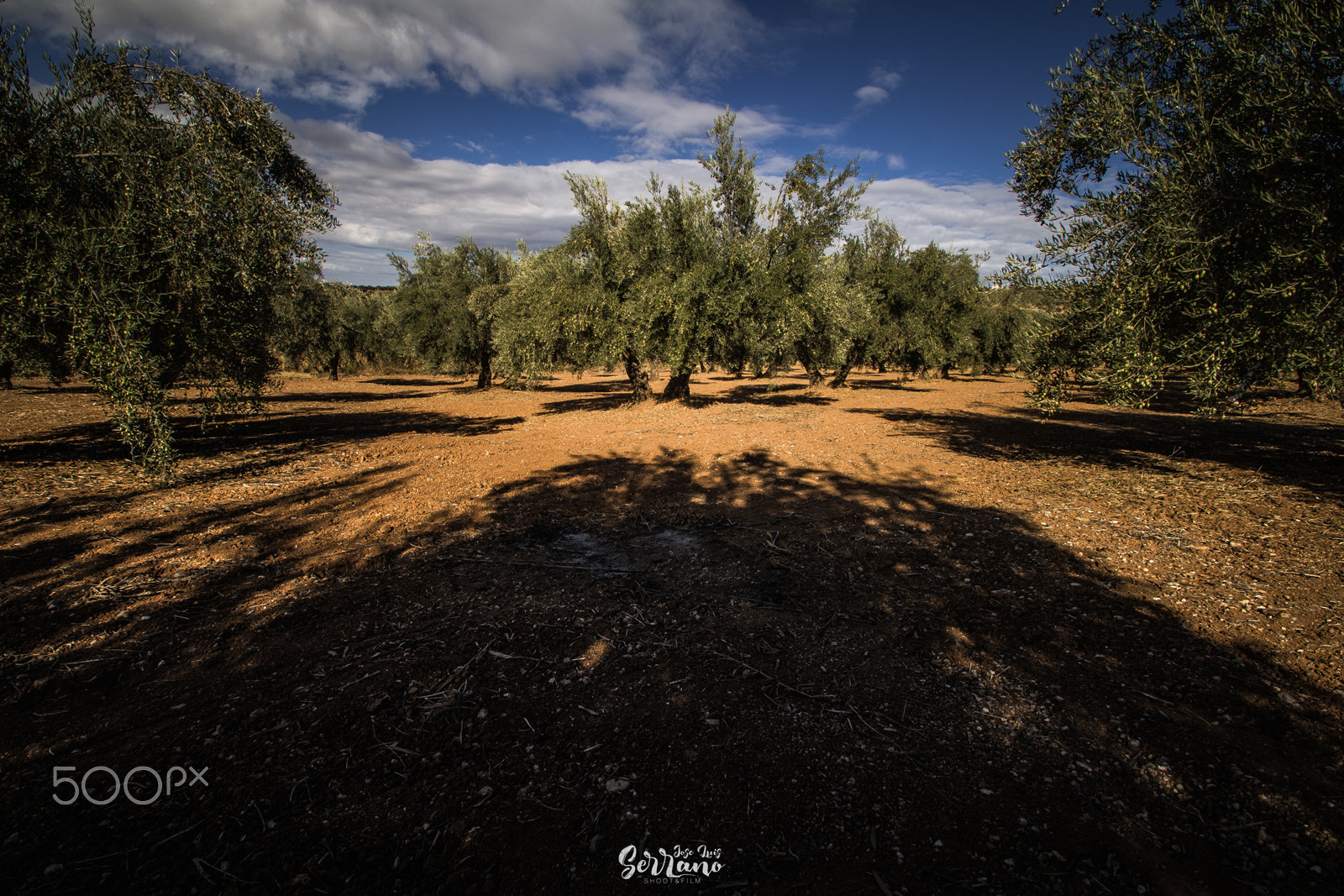 Sigma 10-20mm F3.5 EX DC HSM sample photo. Simetria ii... photography