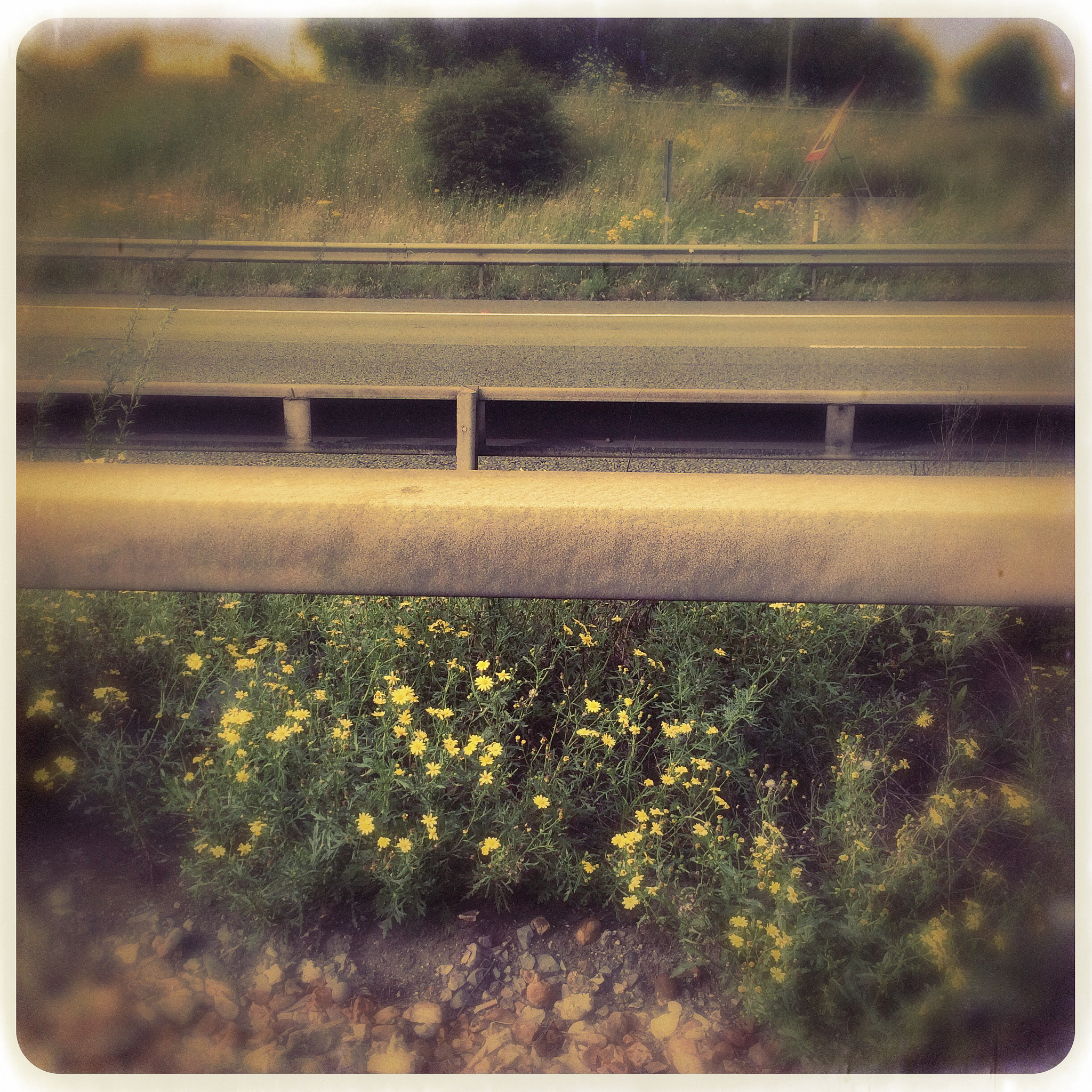 Hipstamatic 275 sample photo. Roadside photography