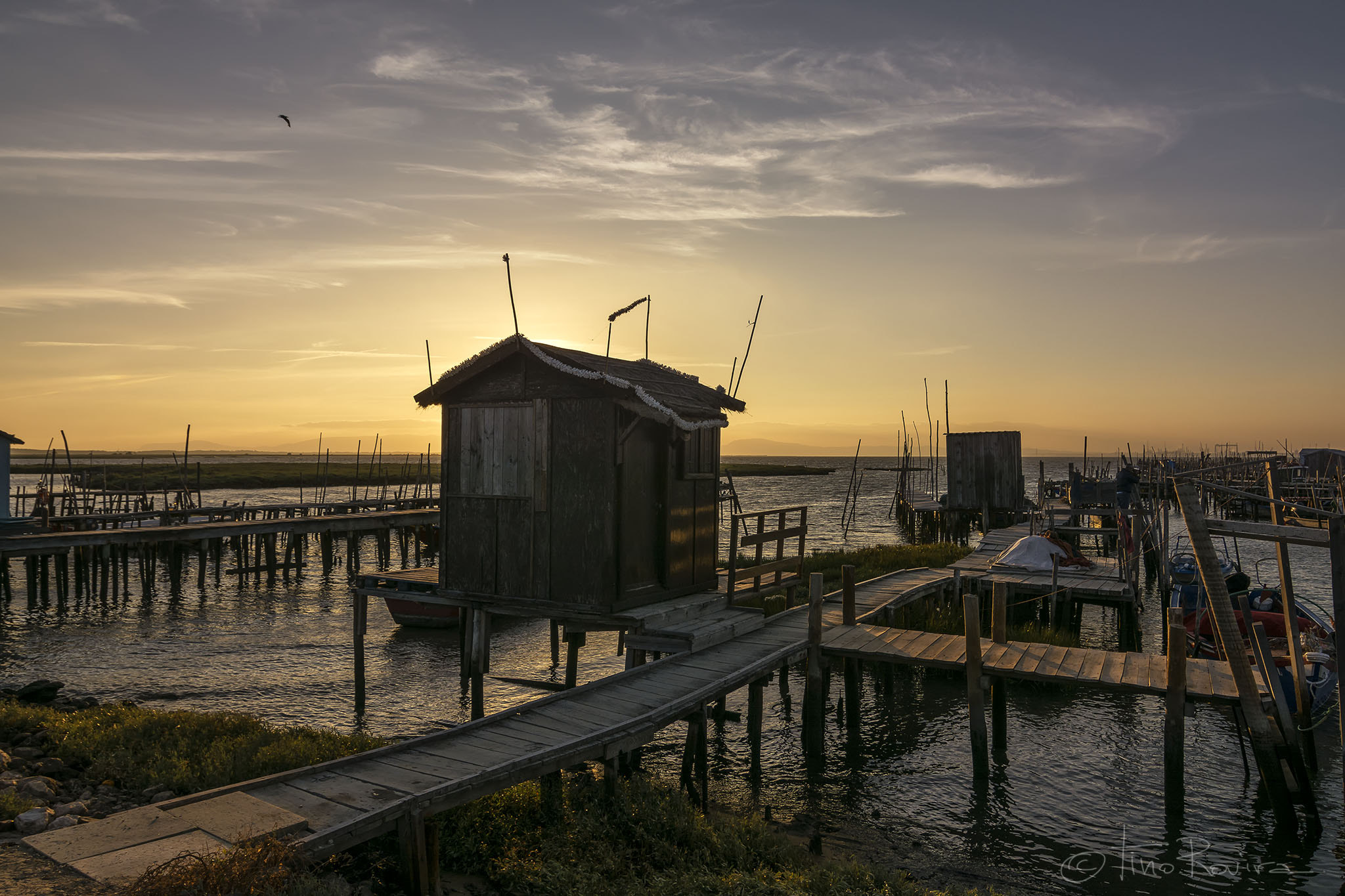 Tokina AT-X Pro 12-24mm F4 (IF) DX sample photo. Carrasqueira iii photography