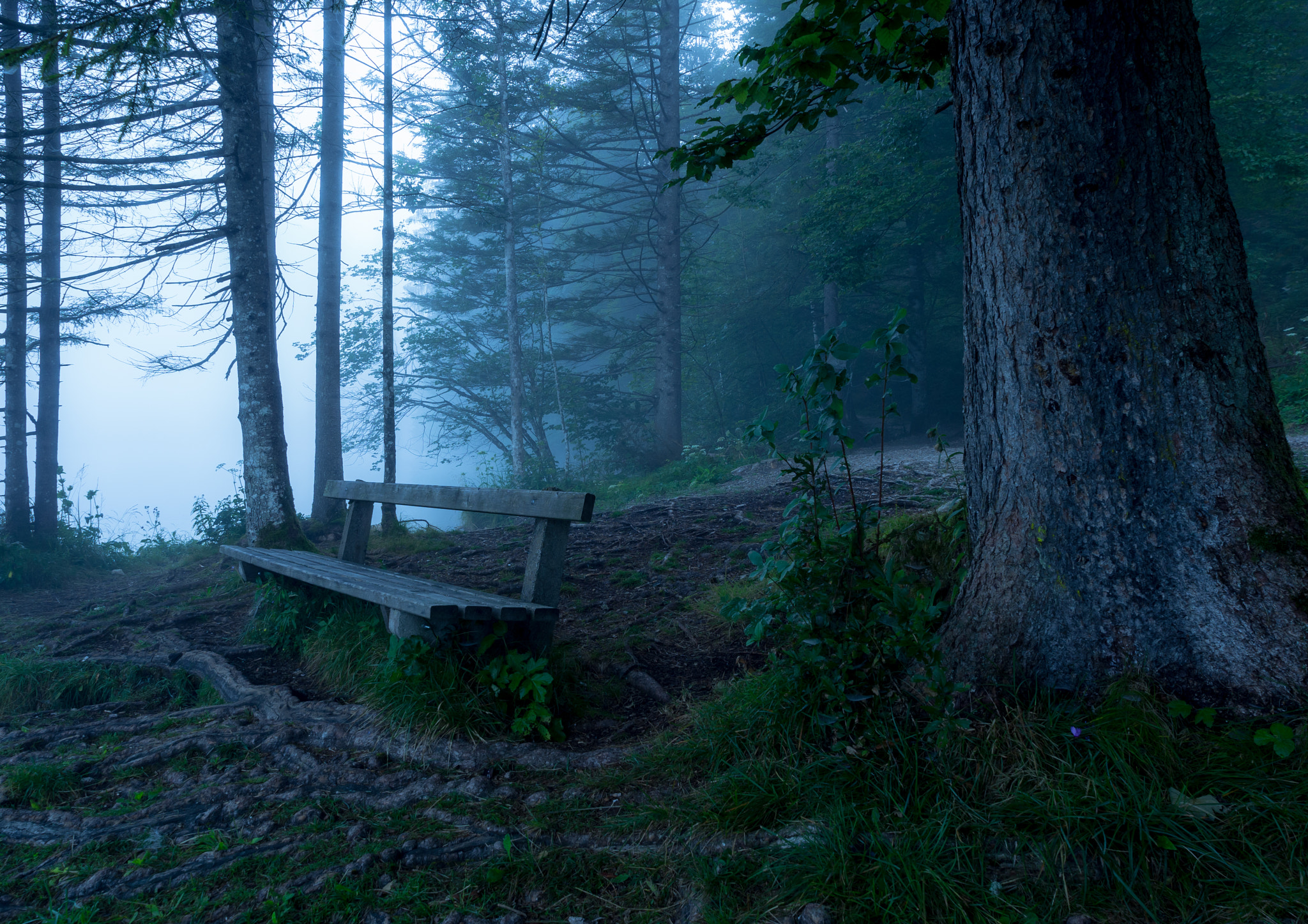 Olympus Zuiko Digital ED 12-60mm F2.8-4.0 SWD sample photo. The bench by the lake photography