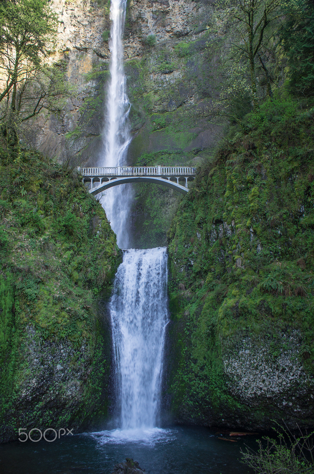 Sony Alpha DSLR-A580 sample photo. Multnomah falls oregon photography