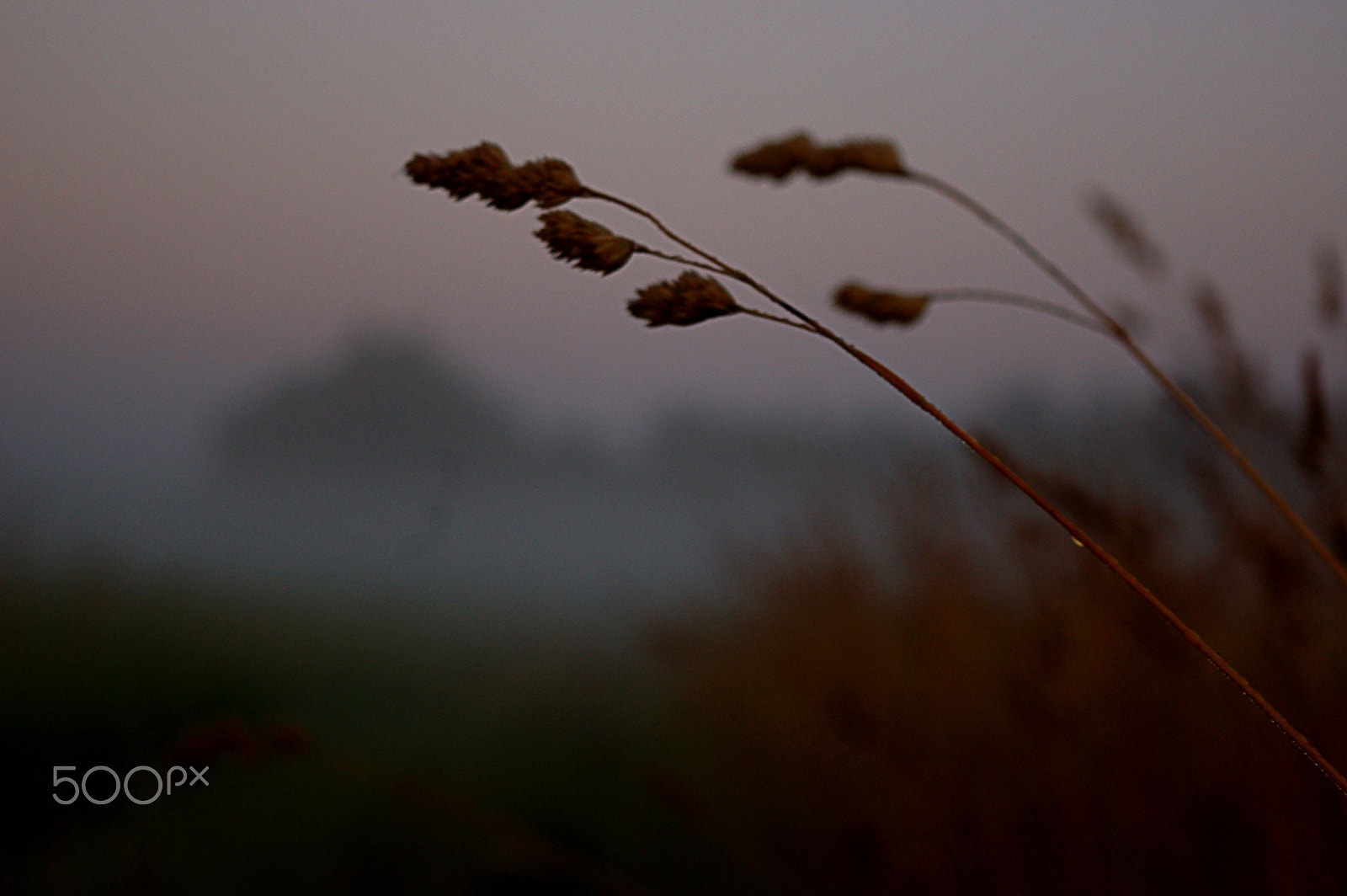 Nikon D50 sample photo. Dawn photography
