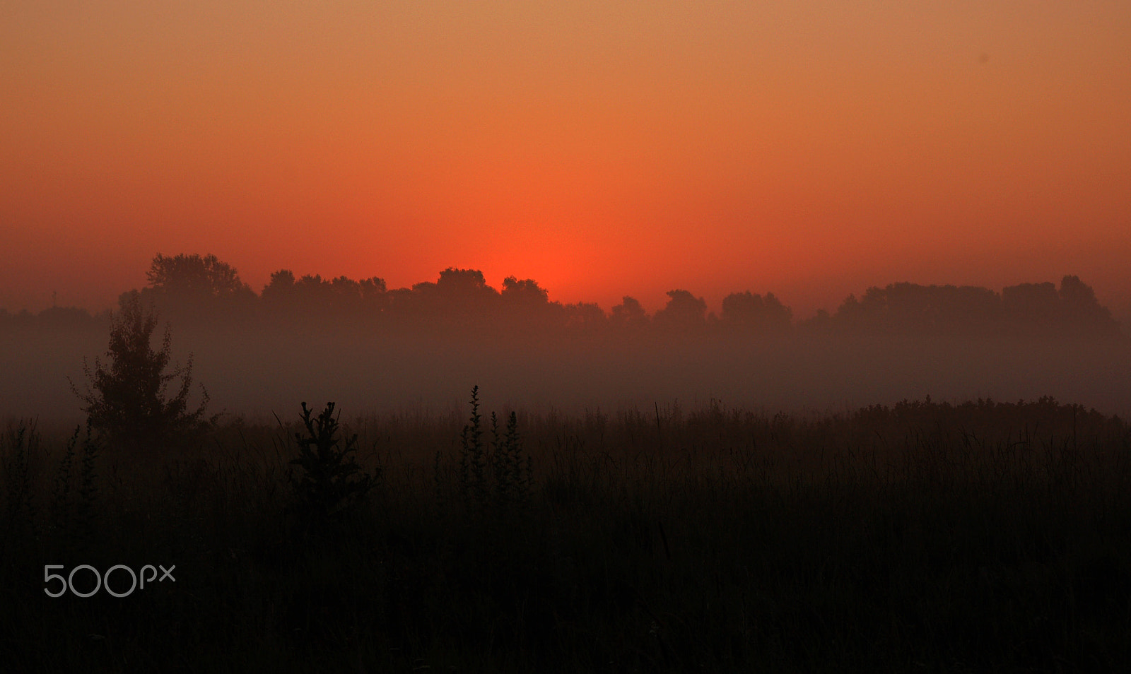 Nikon D50 sample photo. Dawn photography