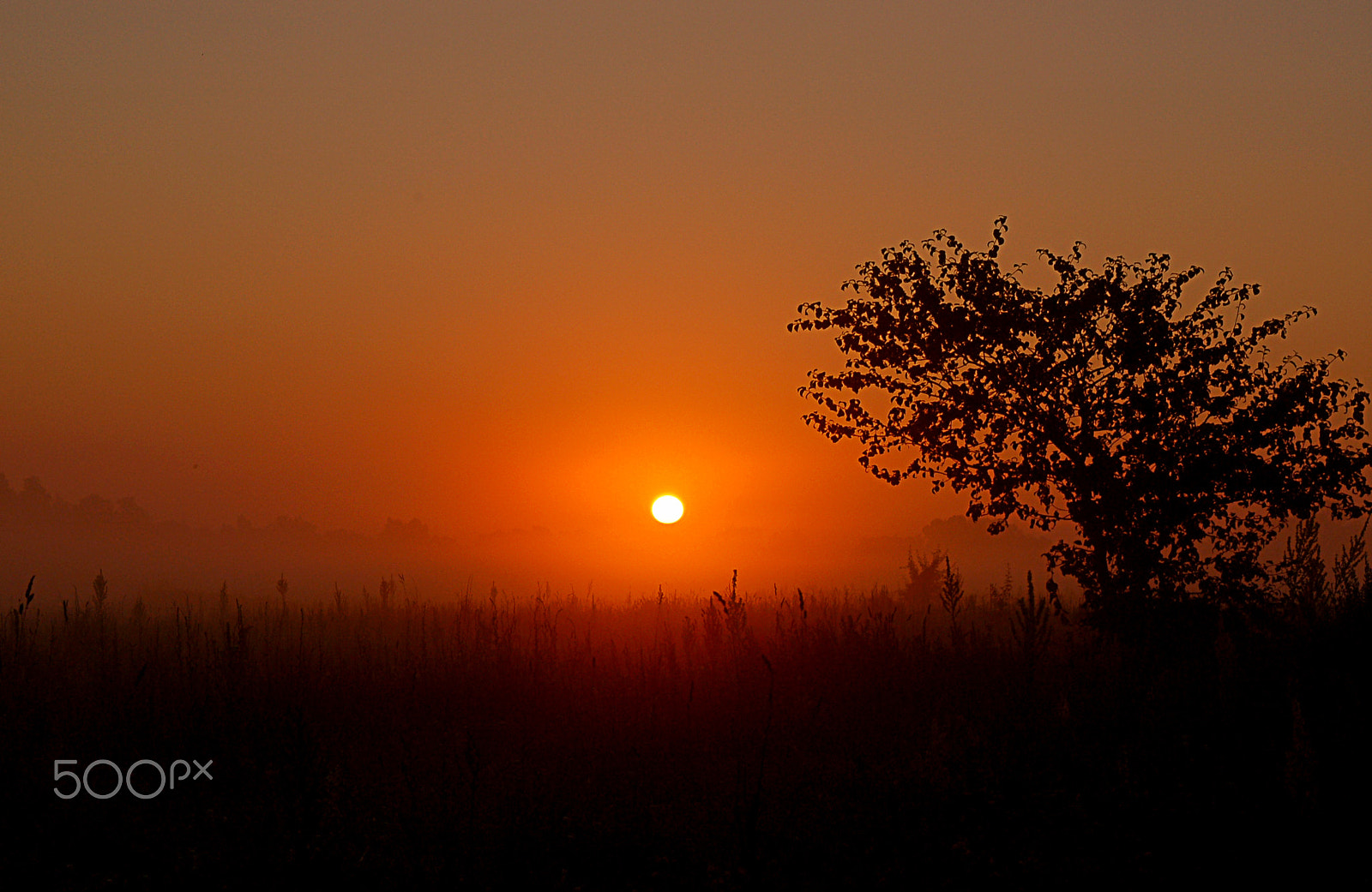 Nikon D50 sample photo. Dawn photography