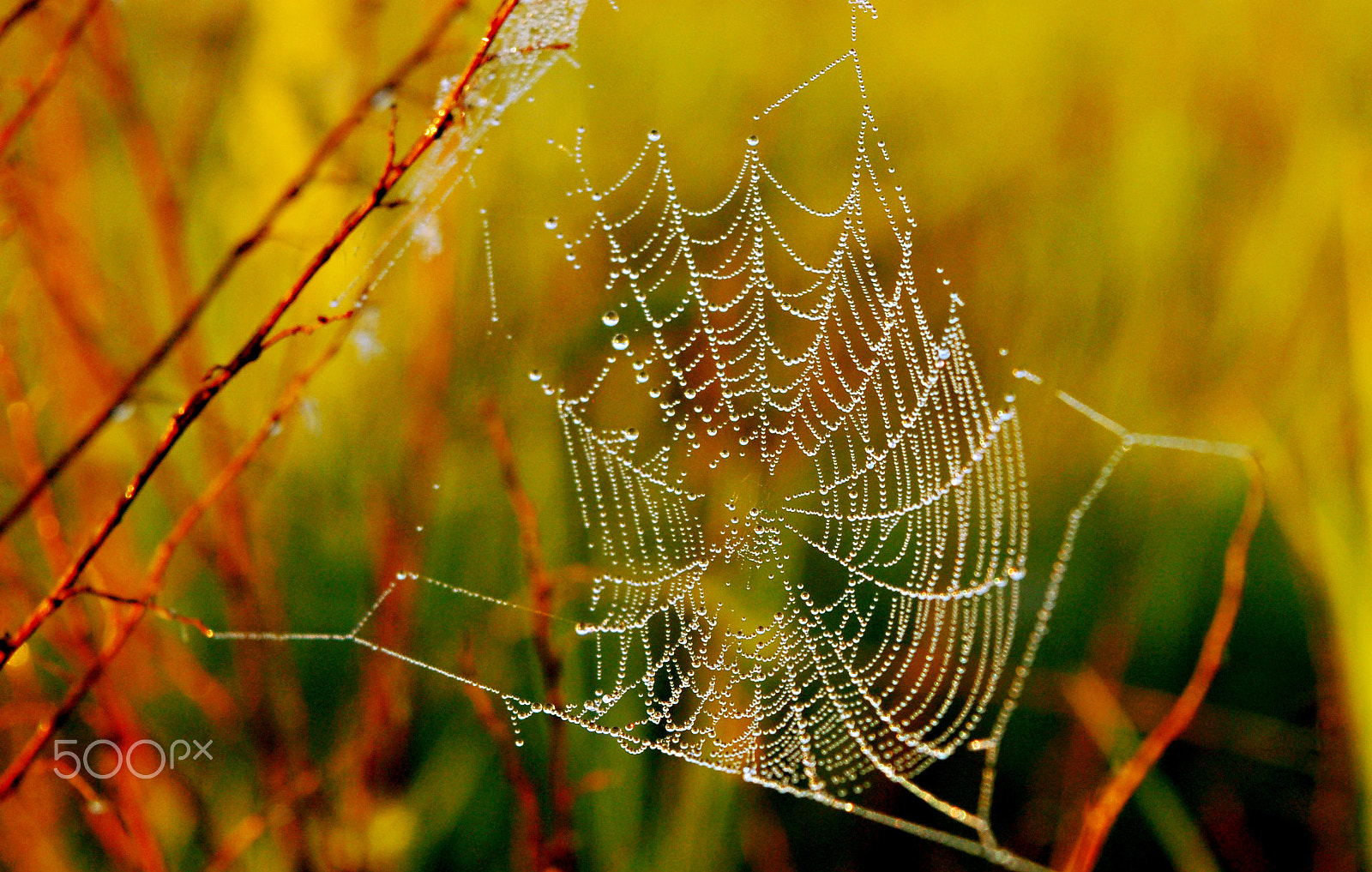 Nikon D50 sample photo. Dawn photography