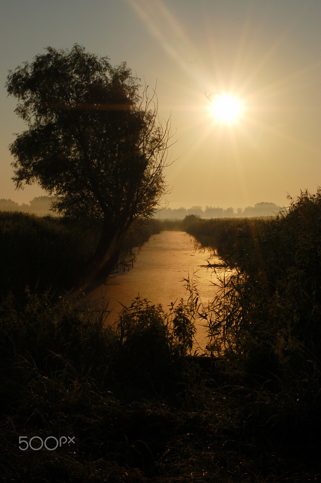 Nikon D50 sample photo. Dawn photography
