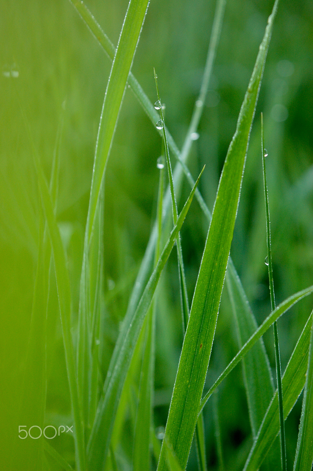 Nikon D50 sample photo. Dawn photography