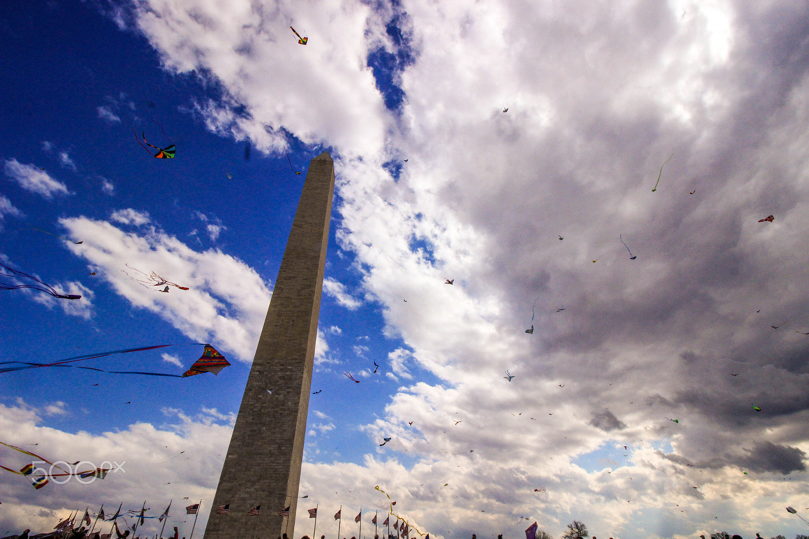 Canon EOS 600D (Rebel EOS T3i / EOS Kiss X5) + Canon EF-S 10-18mm F4.5–5.6 IS STM sample photo. Kite flying contest in washington, d.c photography