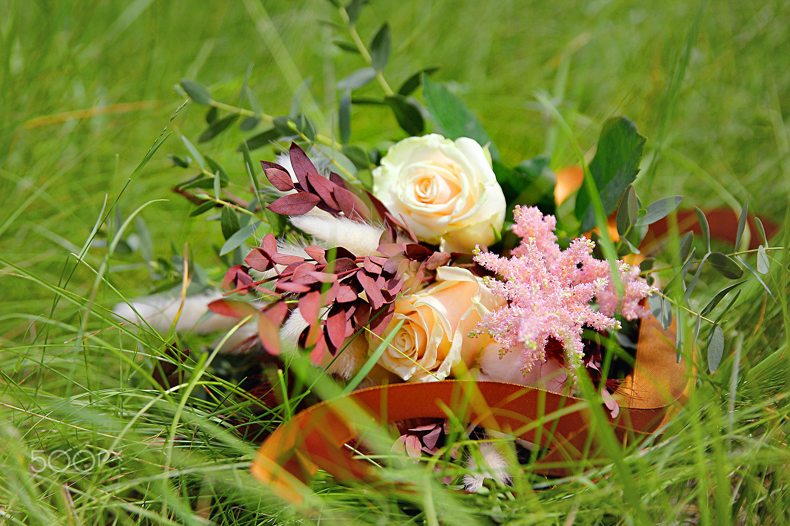 Canon EF 24-70mm F2.8L II USM sample photo. Wp photography