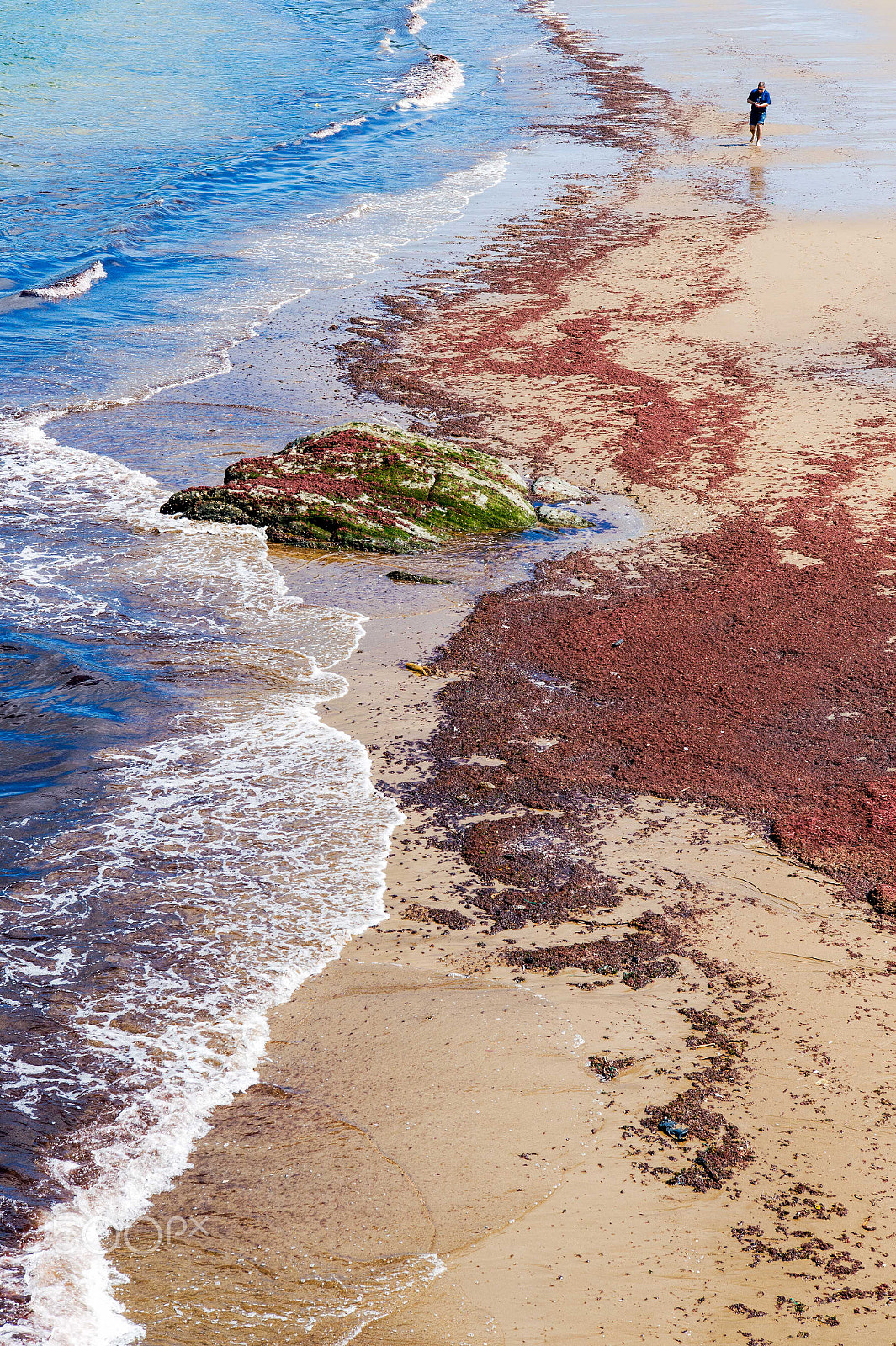Nikon AF-S Nikkor 24-70mm F2.8E ED VR sample photo. Coastal composition photography