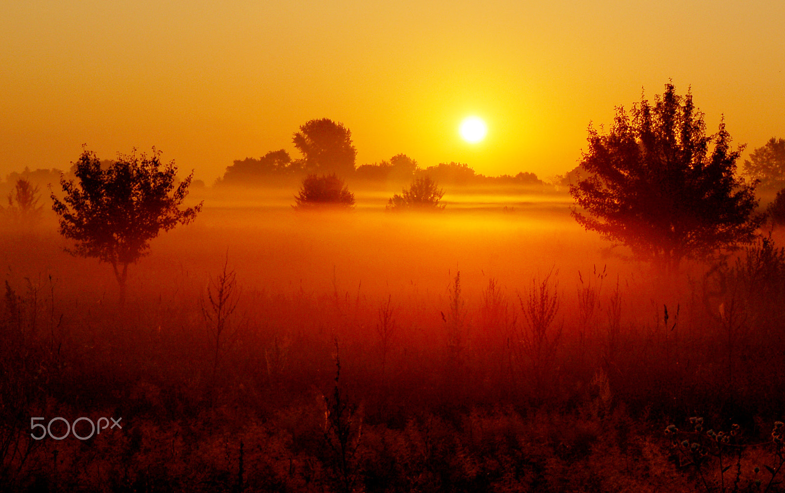 Nikon D50 sample photo. Miracles dawn photography