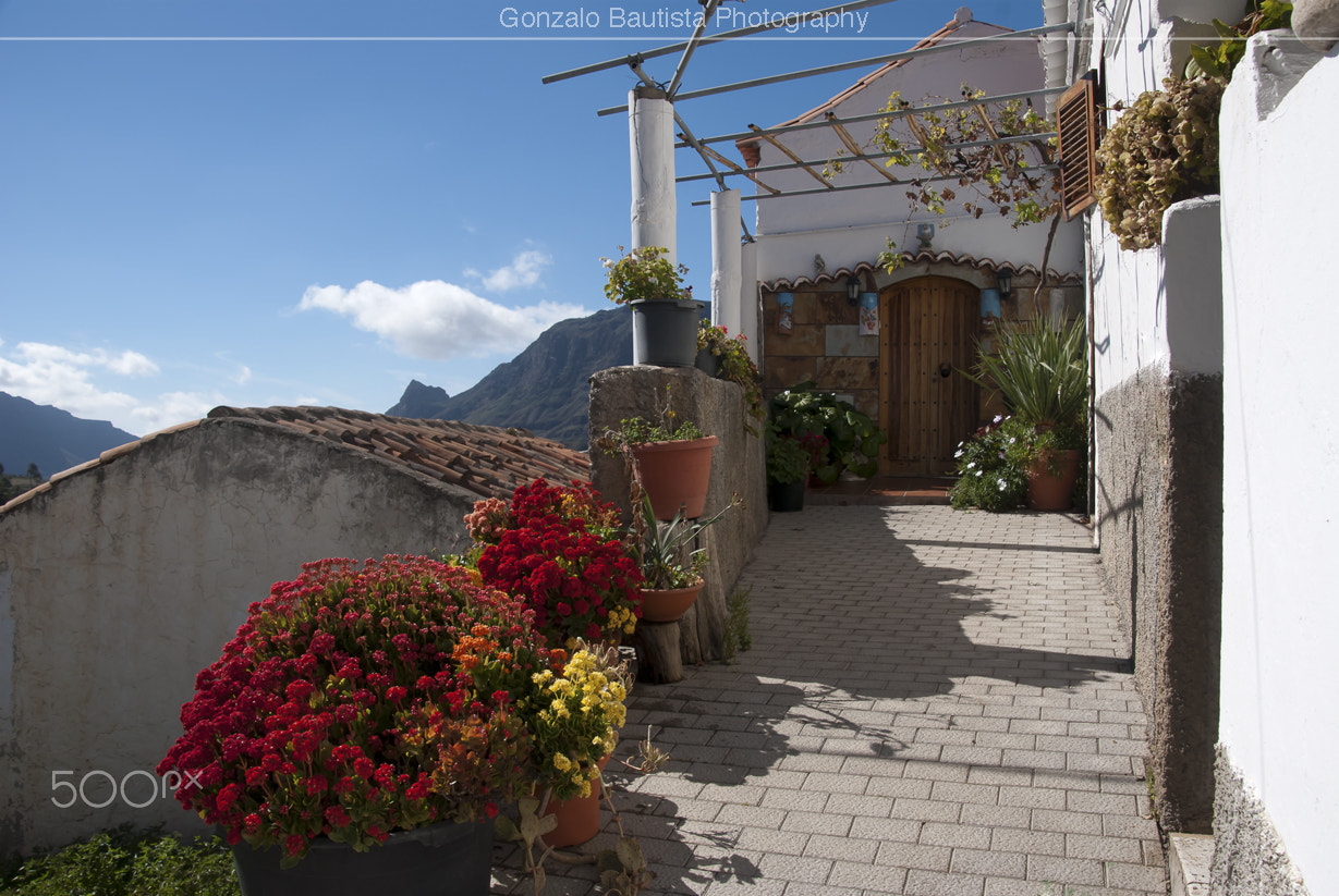 Nikon D40X sample photo. Fataga. gran canaria. canary islands. photography