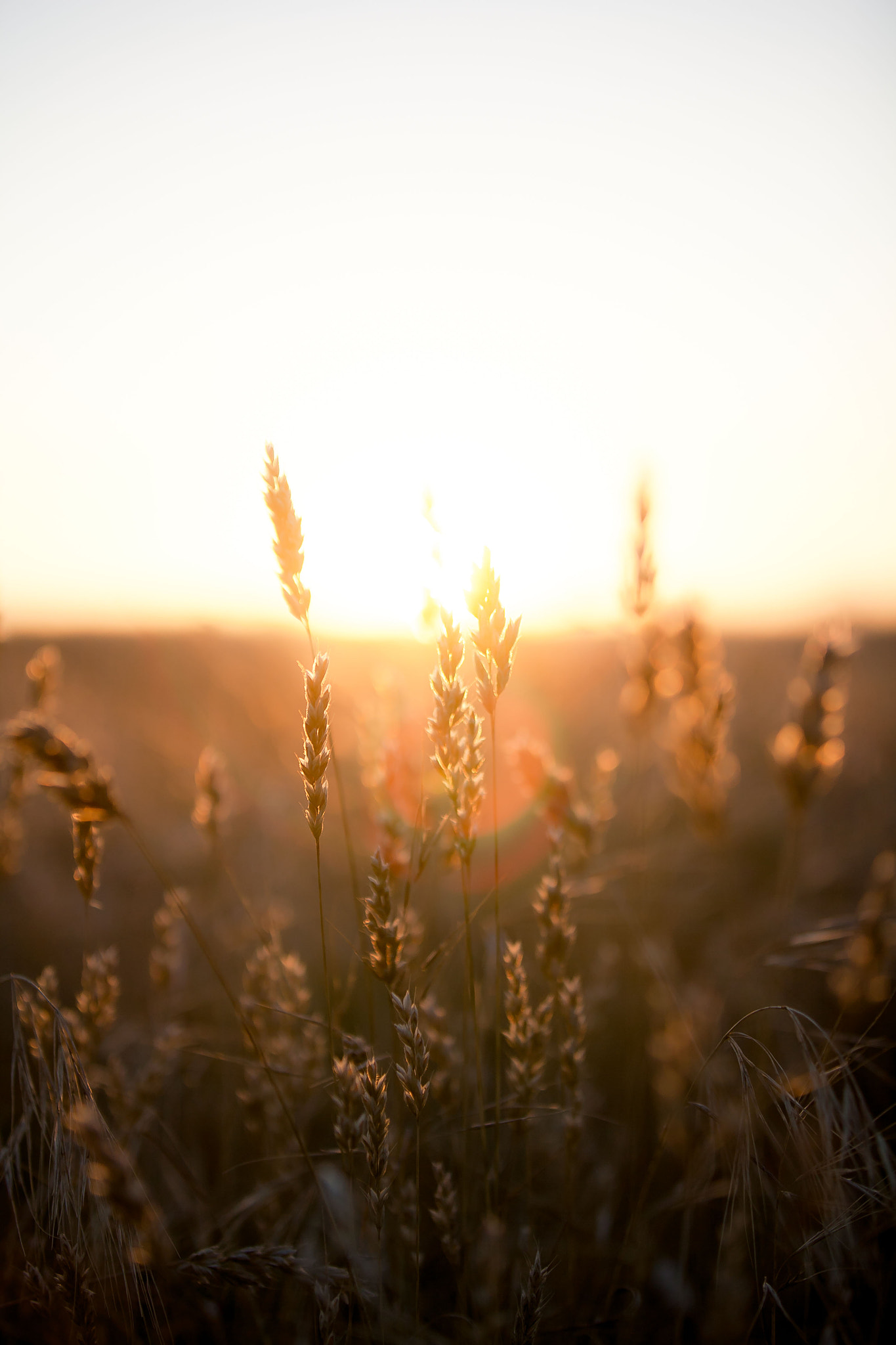 Canon EOS 5D sample photo