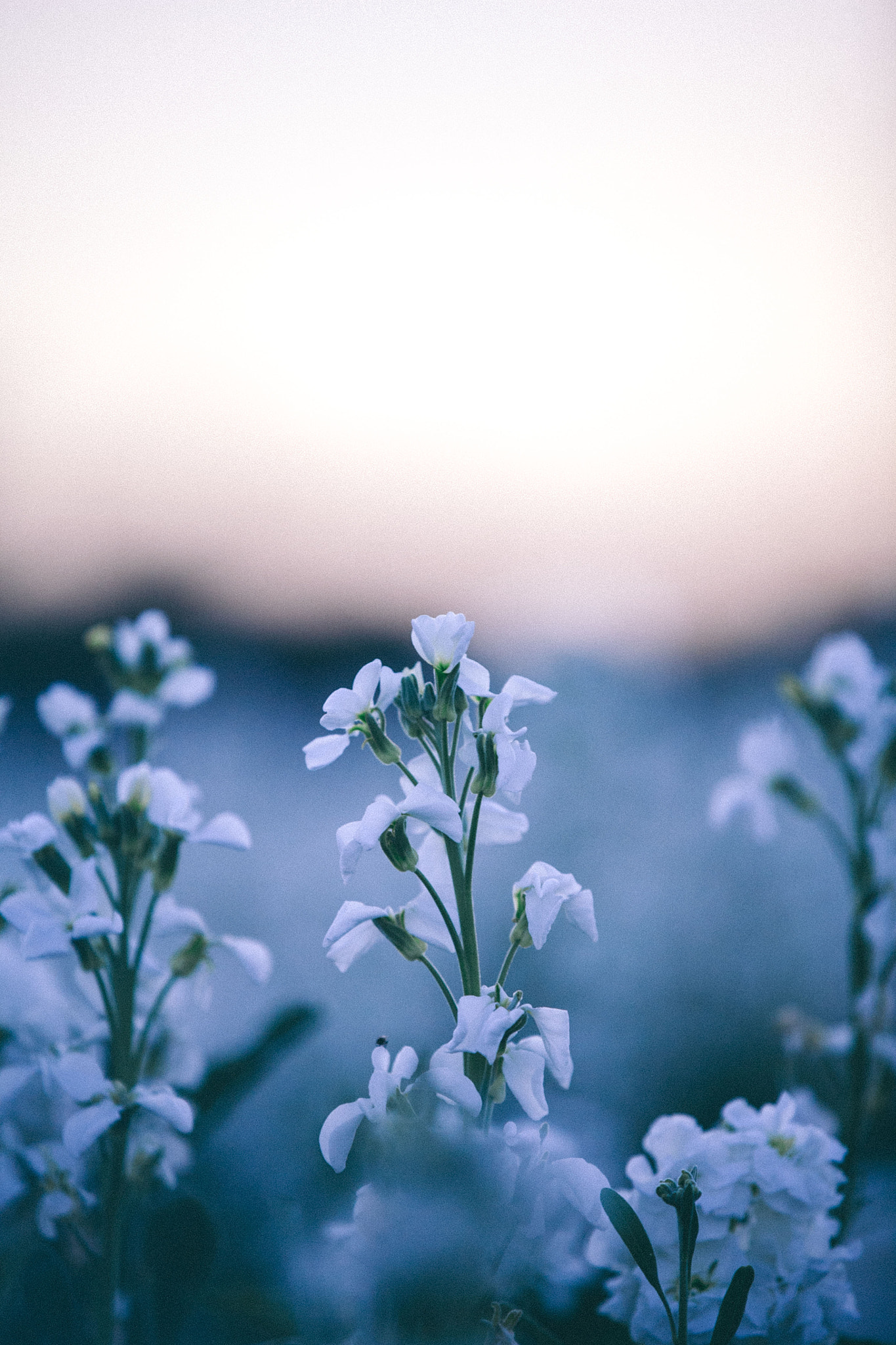 Canon EOS 5D sample photo