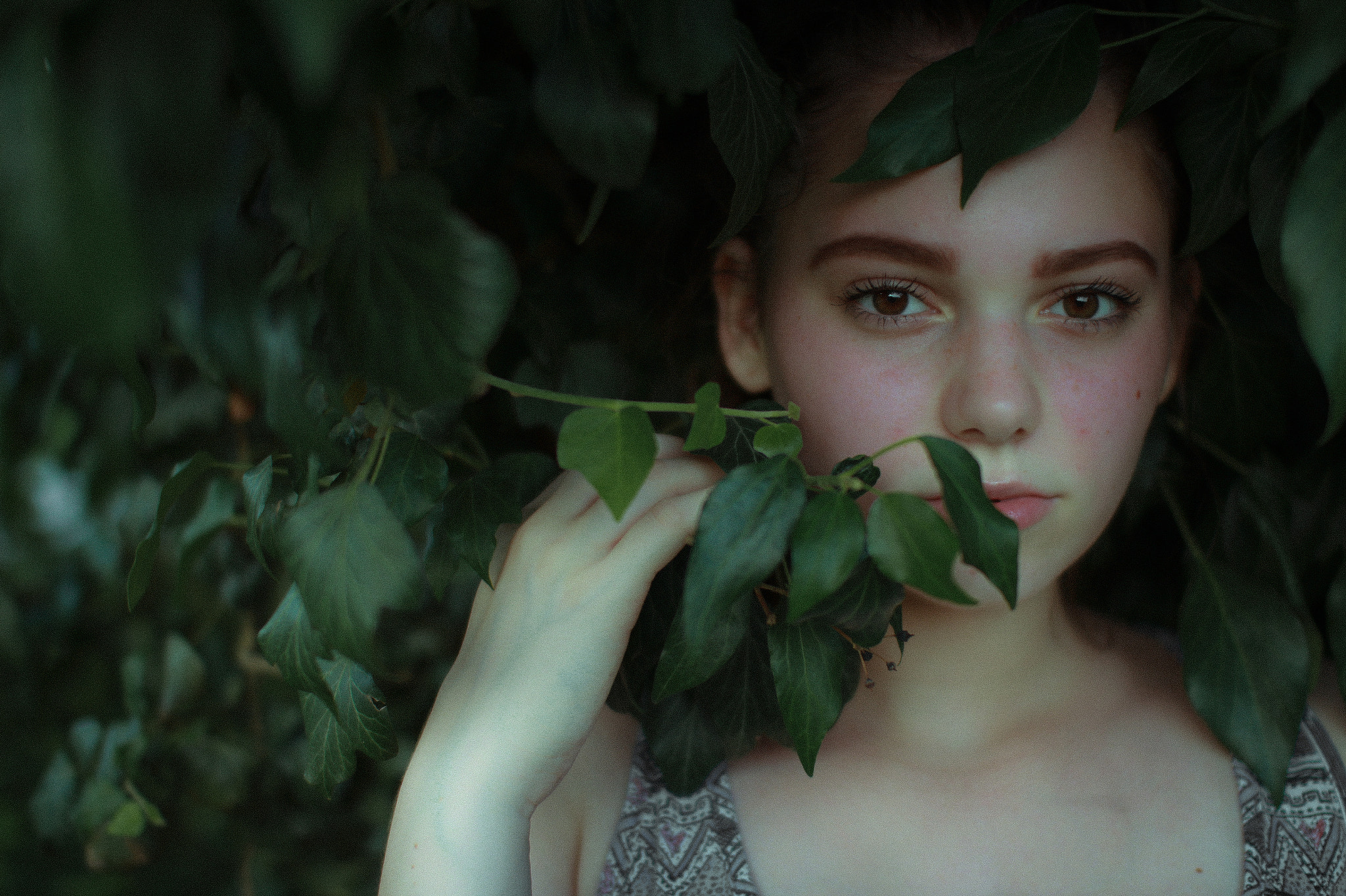 Sigma 30mm F1.4 EX DC HSM sample photo. Into the woods photography