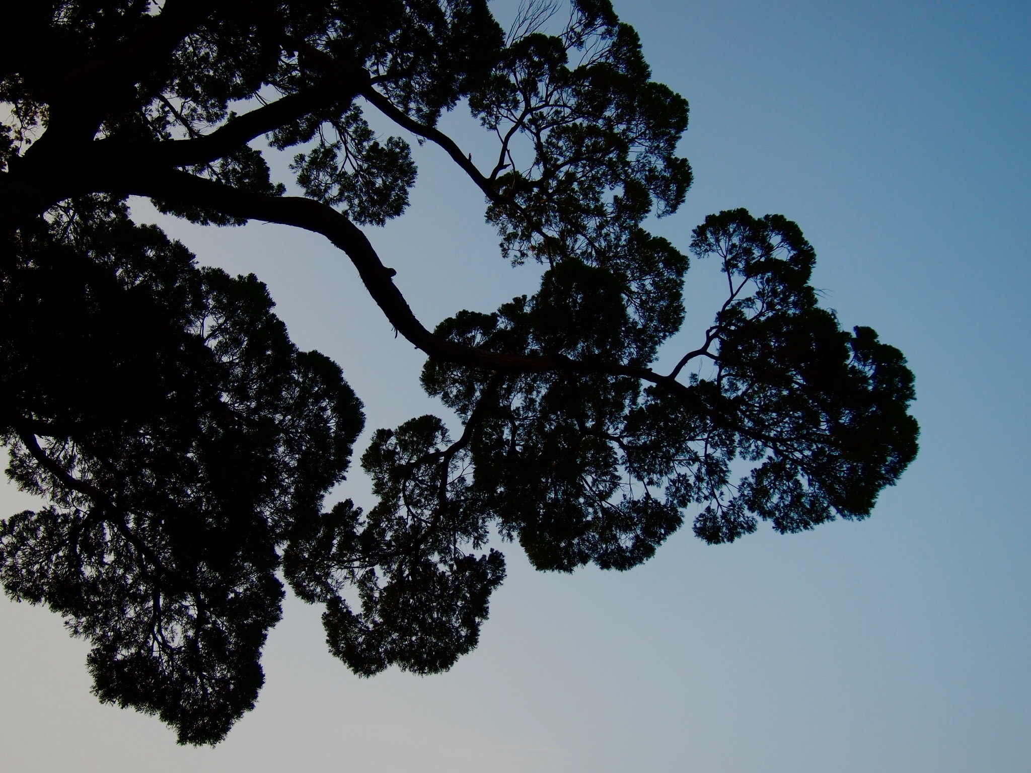 Olympus PEN E-PM1 sample photo. Magic hour photography