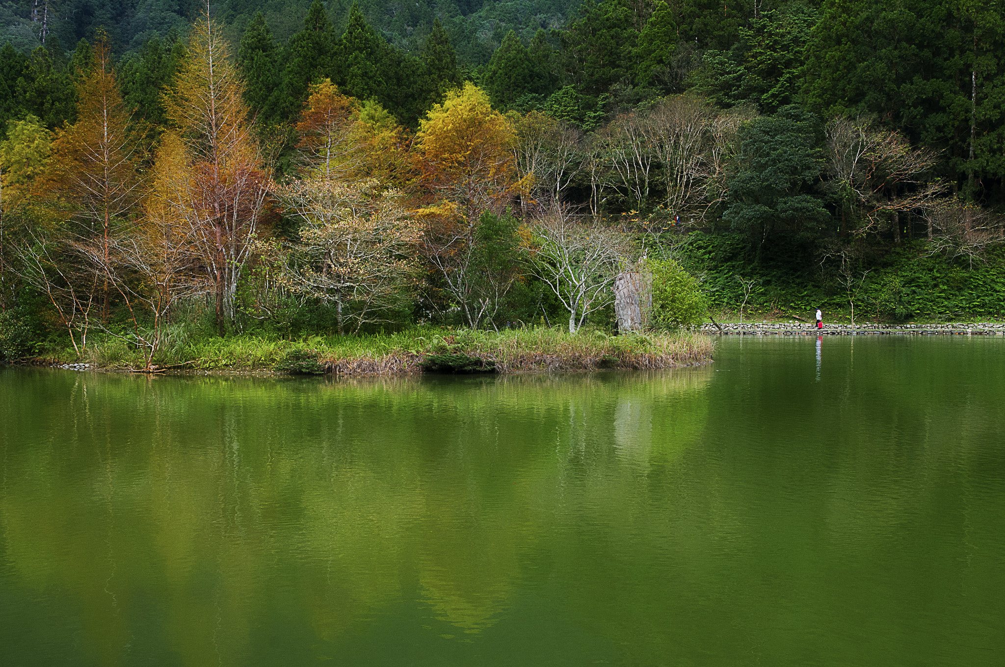 Sigma 17-70mm F2.8-4.5 DC Macro Asp. IF sample photo. 寧靜的明池 photography
