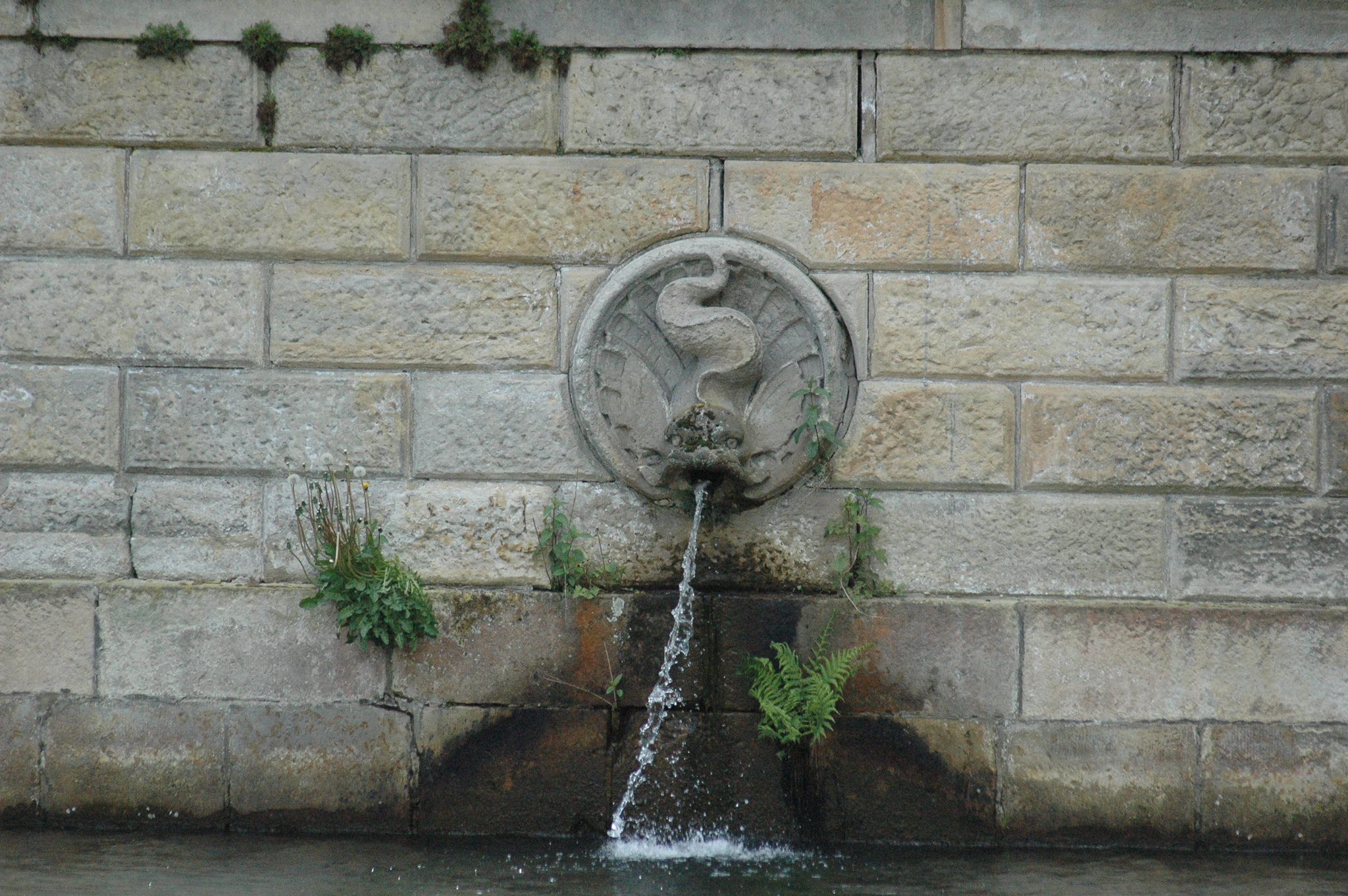 Sigma 70-300mm F4-5.6 APO Macro Super II sample photo