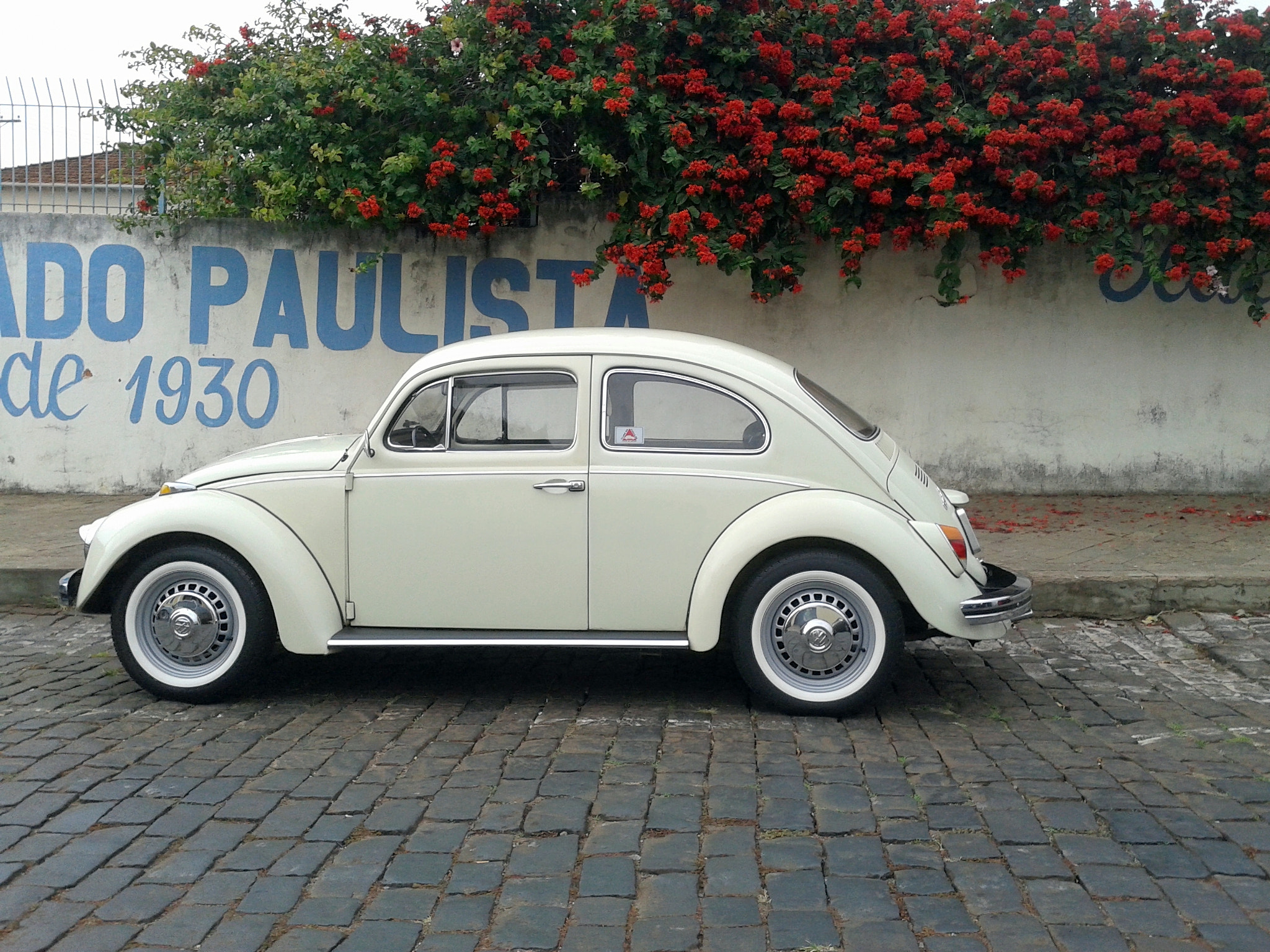 Samsung Galaxy Win sample photo. Fusca 72 branco lotus photography