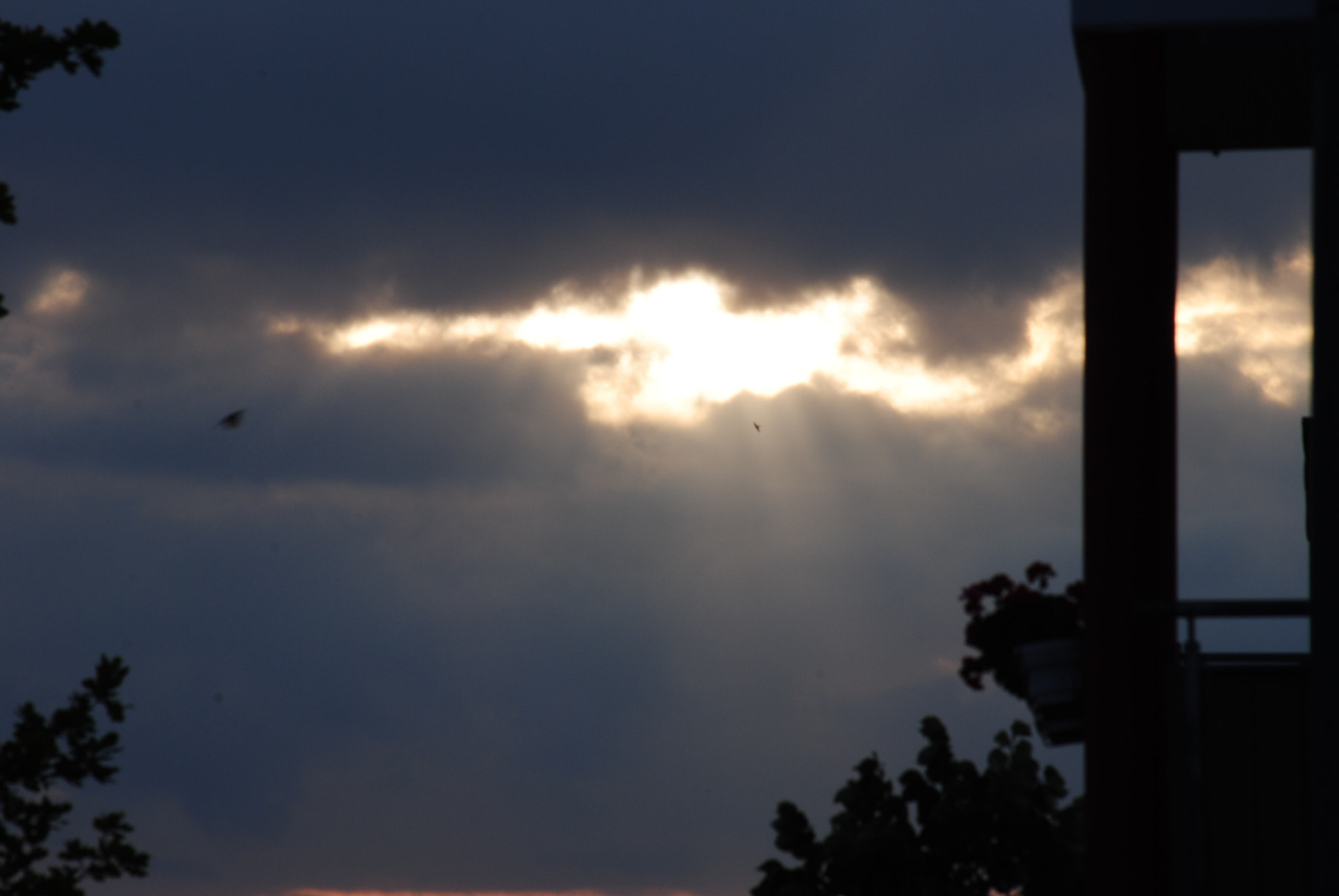 Sigma 70-300mm F4-5.6 APO Macro Super II sample photo