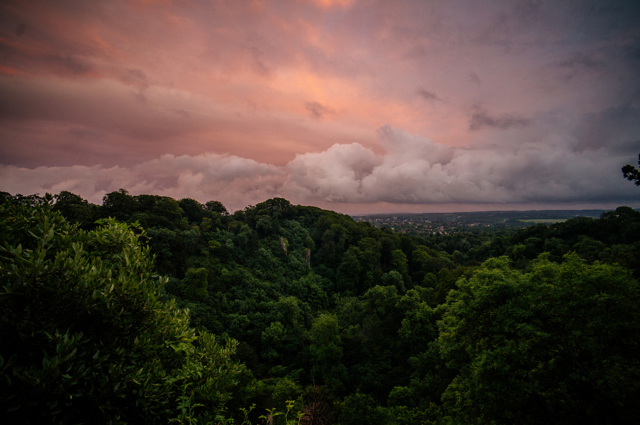 Sony Alpha a5000 (ILCE 5000) + Sony E 16mm F2.8 sample photo. Forest sunset  photography