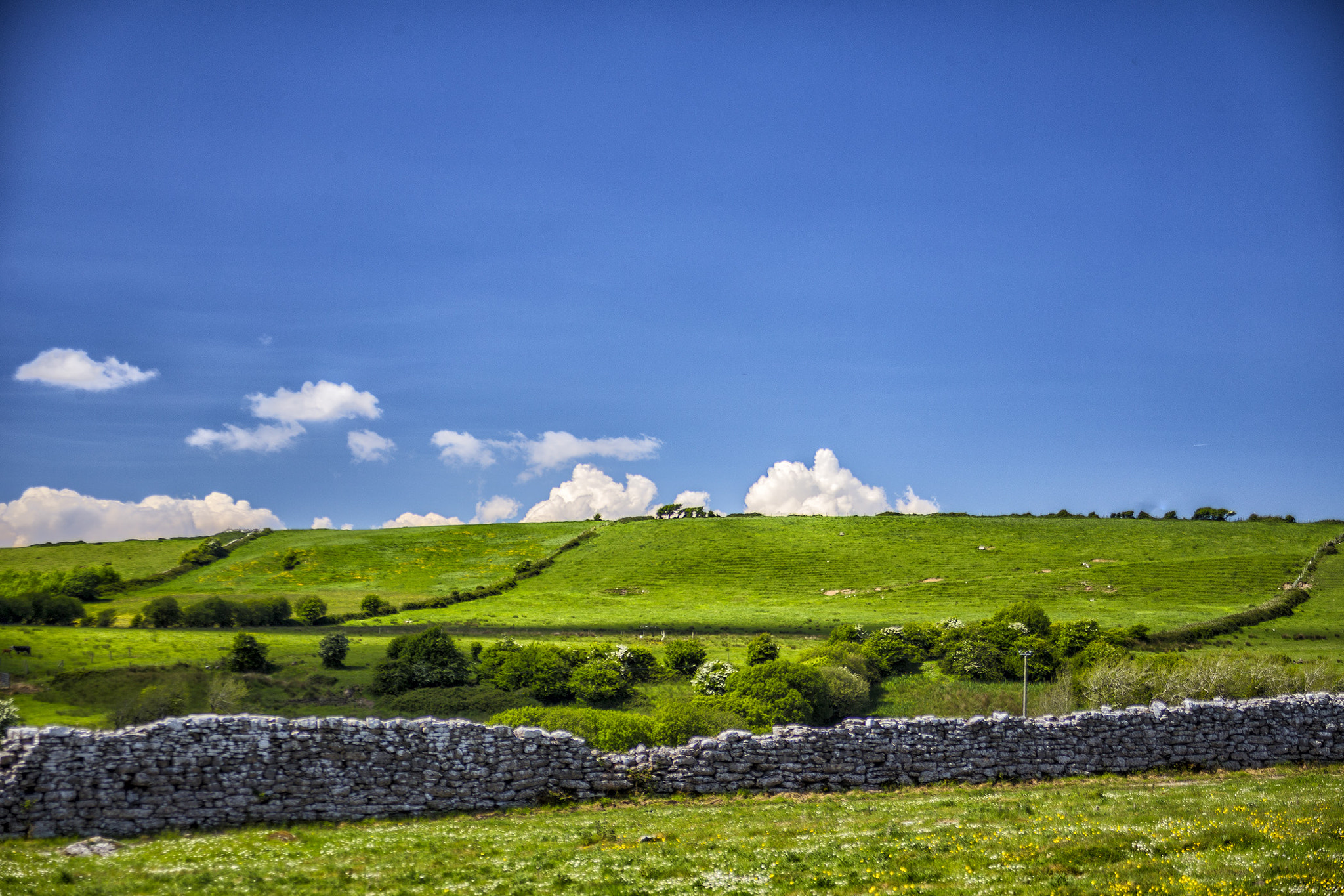 Canon EOS 6D + Canon EF 28-80mm f/3.5-5.6 USM IV sample photo. Ireland photography