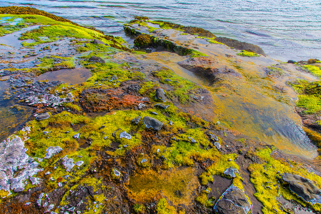 Hot spring near the sea by Marc Salm on 500px.com