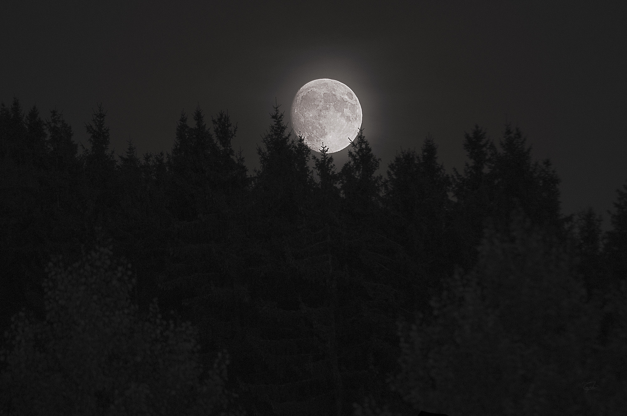 Pentax smc DA 55-300mm F4.0-5.8 ED sample photo. Bonne nuit photography