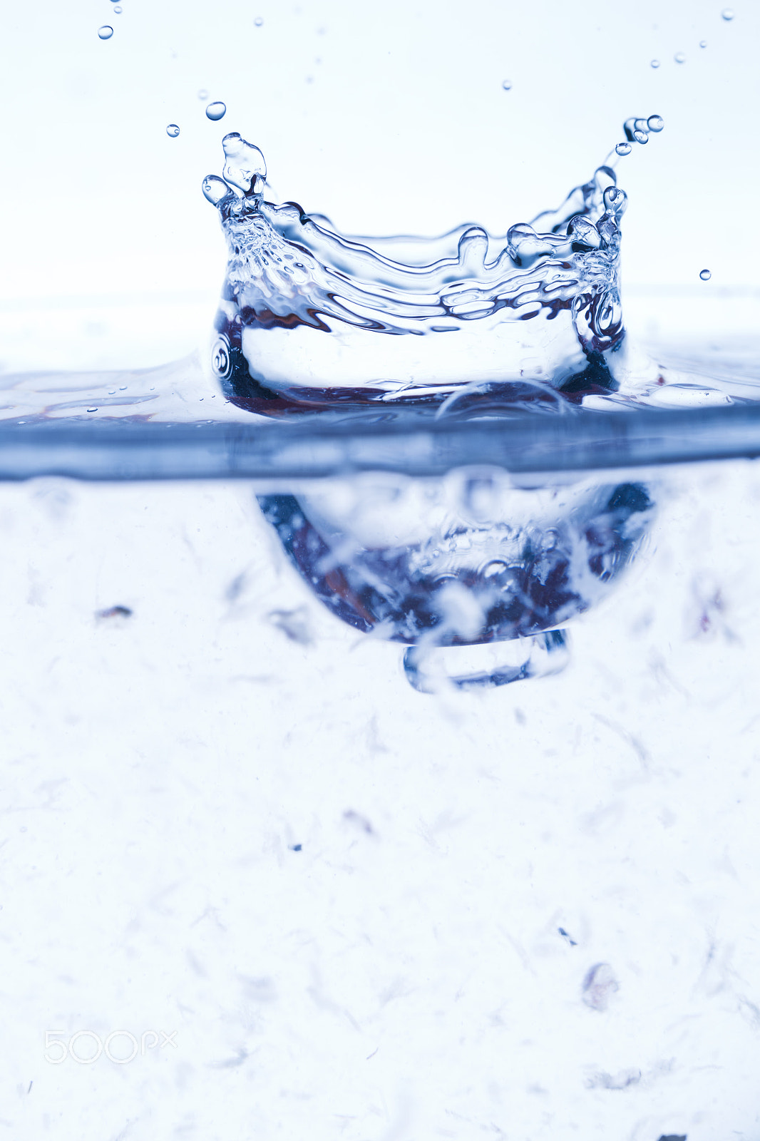 Canon EOS-1D Mark IV sample photo. Sprays, drops and water splashes photography