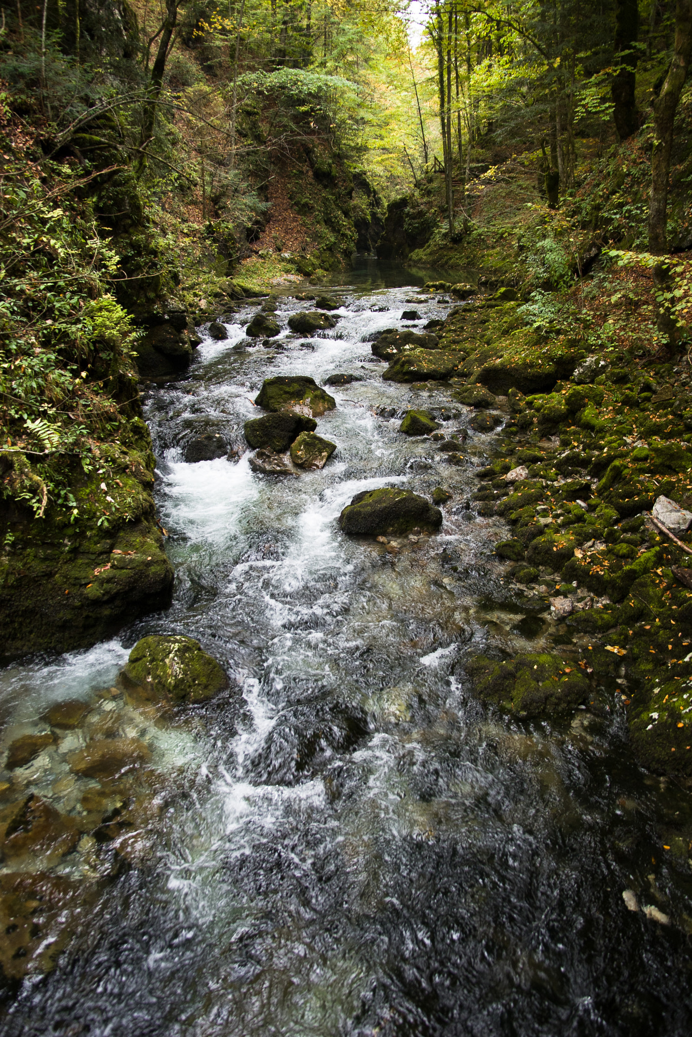 Tamron 35-90mm F4 AF sample photo. Kamačnik river photography