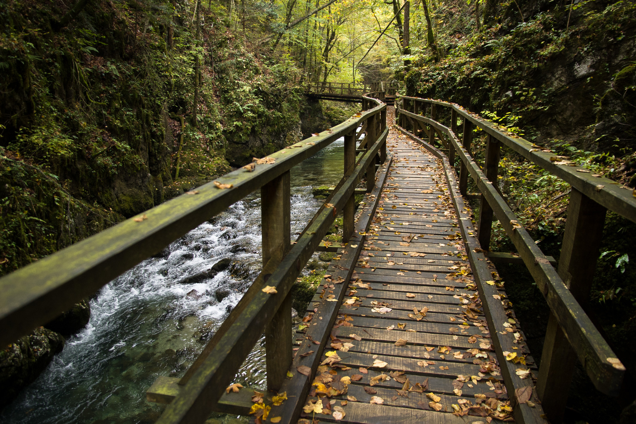 Pentax K100D sample photo. Kamačnik gorge photography