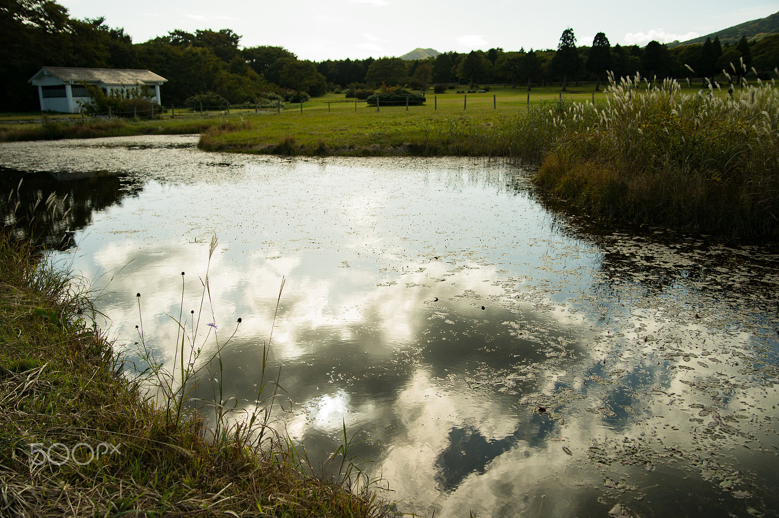 Nikon Df sample photo. Reflection of clouds photography